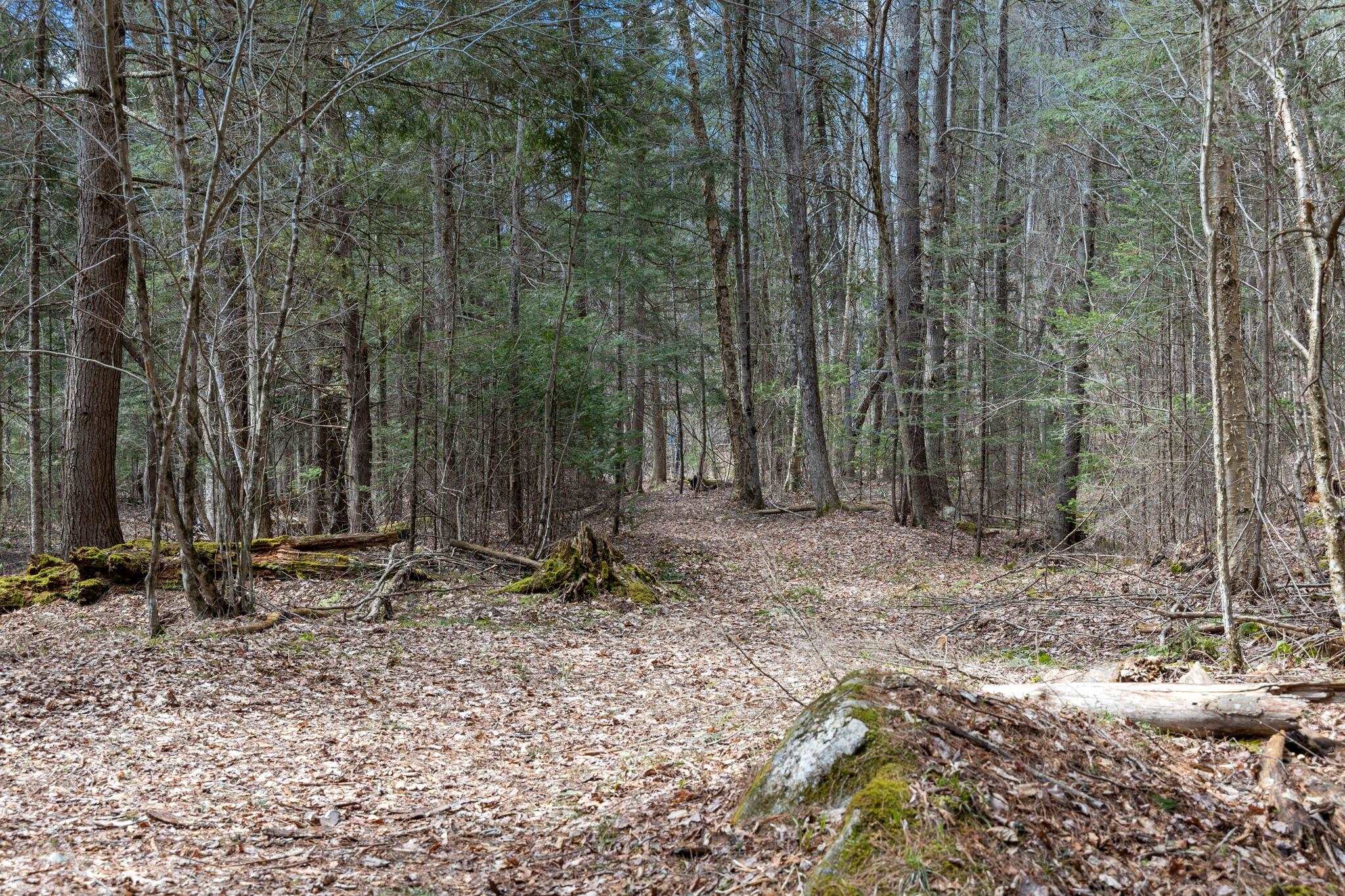 Lot 3 Riverbend Road, Unit 3 Bath, NH 03740 - Photo 5 of 9 Gallery Image 5
