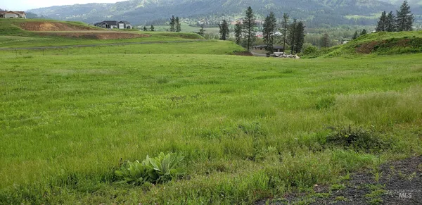 $135,000 | Tbd River Vw Drive, Kamiah, ID 83536