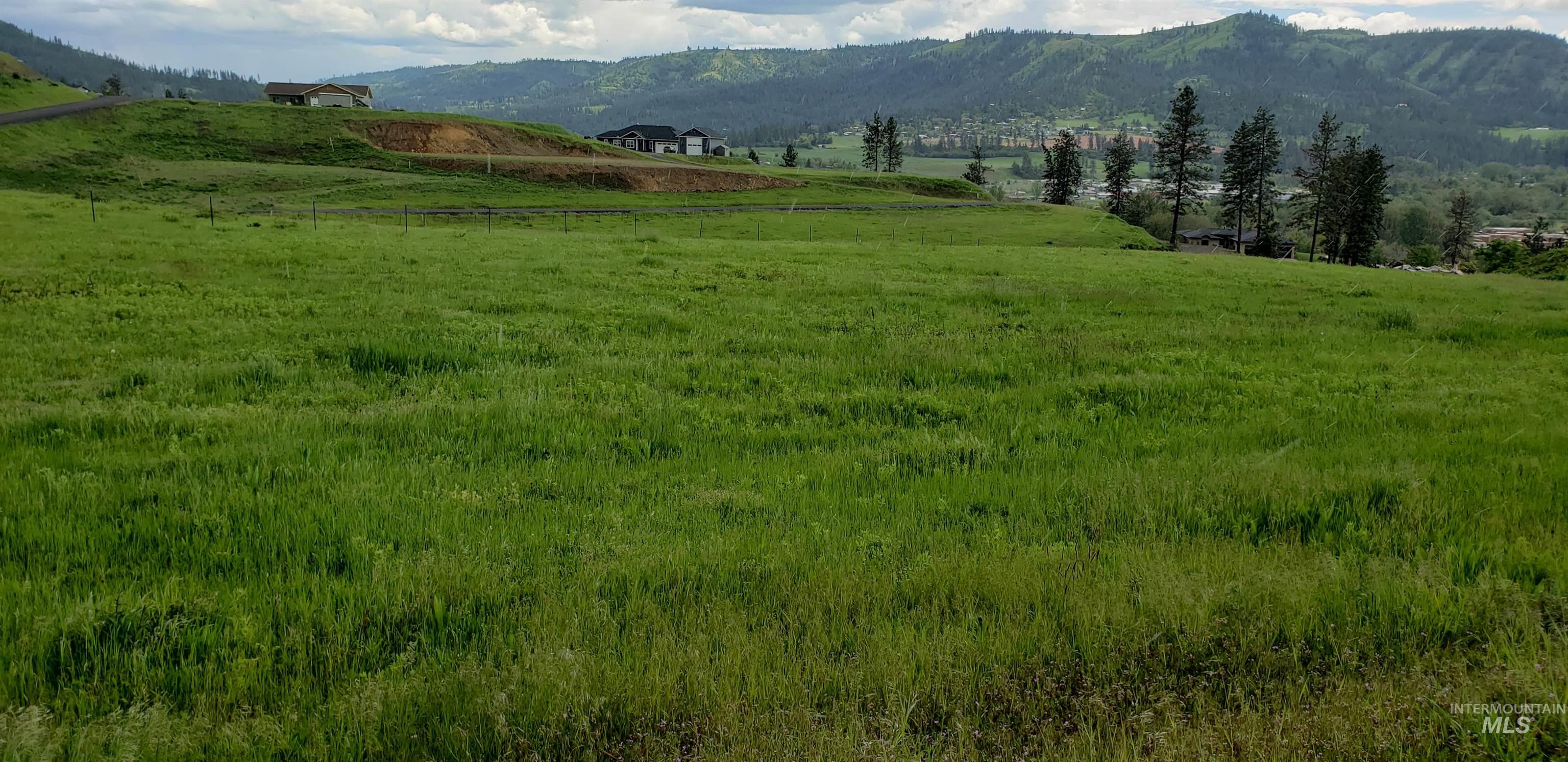 Tbd River Vw Drive Kamiah, ID 83536 - Photo 4 of 5