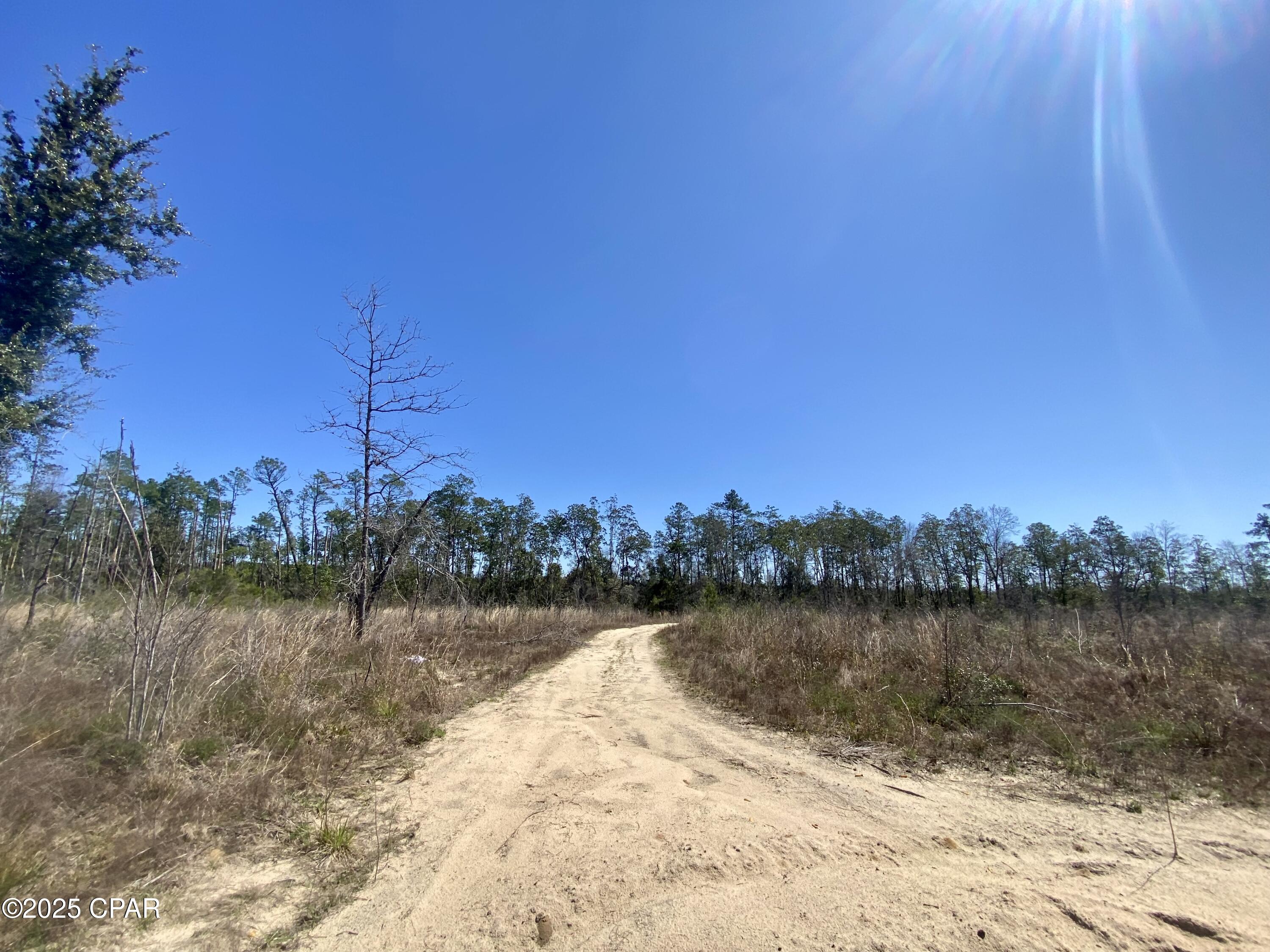 50-acres Northwest Sellers Road Bristol, FL 32321 - Photo 6 of 9