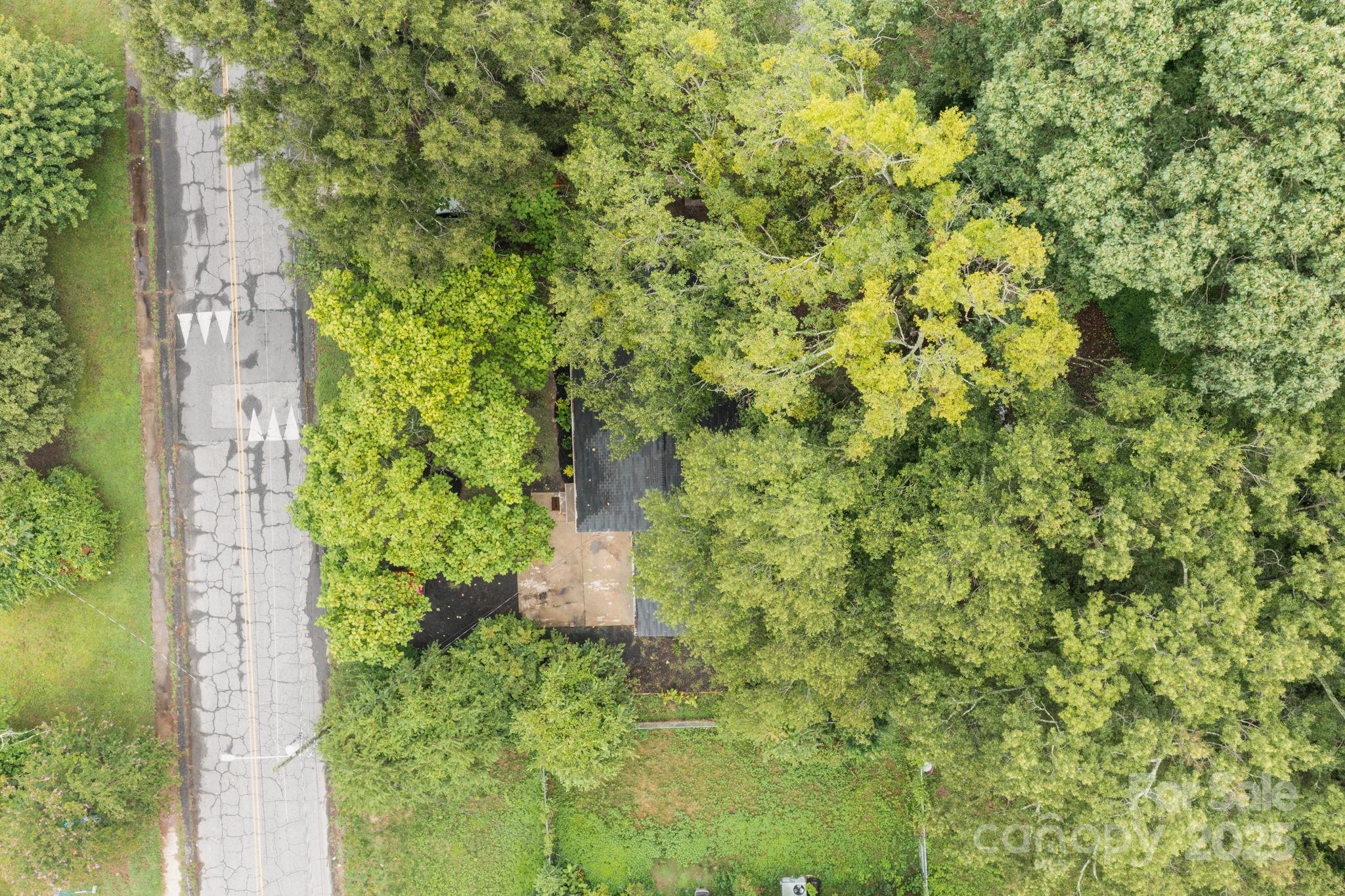 809 Miller Street Gastonia, NC 28052 - Photo 18 of 19 a close up of a plant in a garden