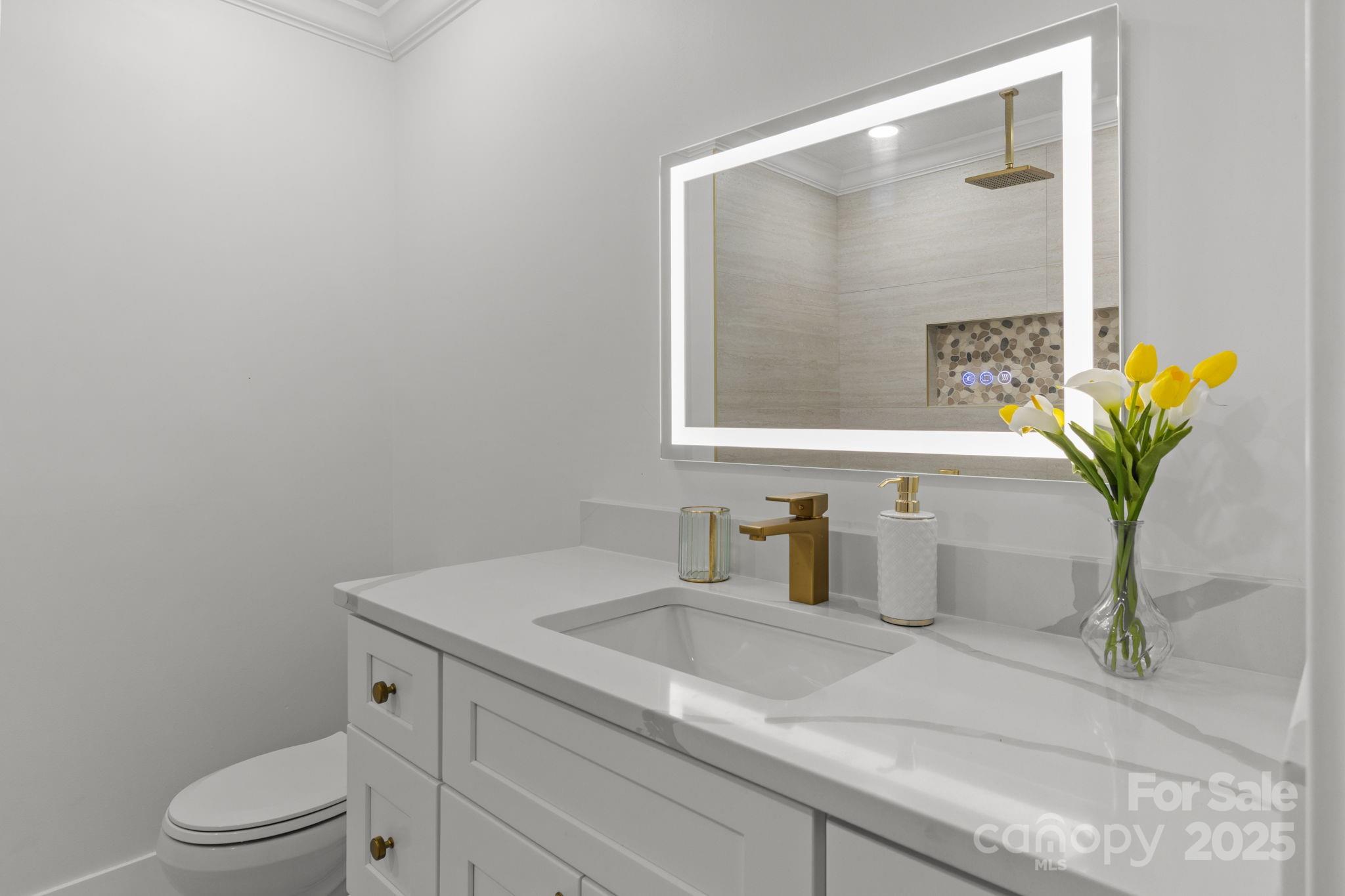 809 Miller Street Gastonia, NC 28052 - Photo 10 of 19 a bathroom with a granite countertop sink a toilet and a mirror