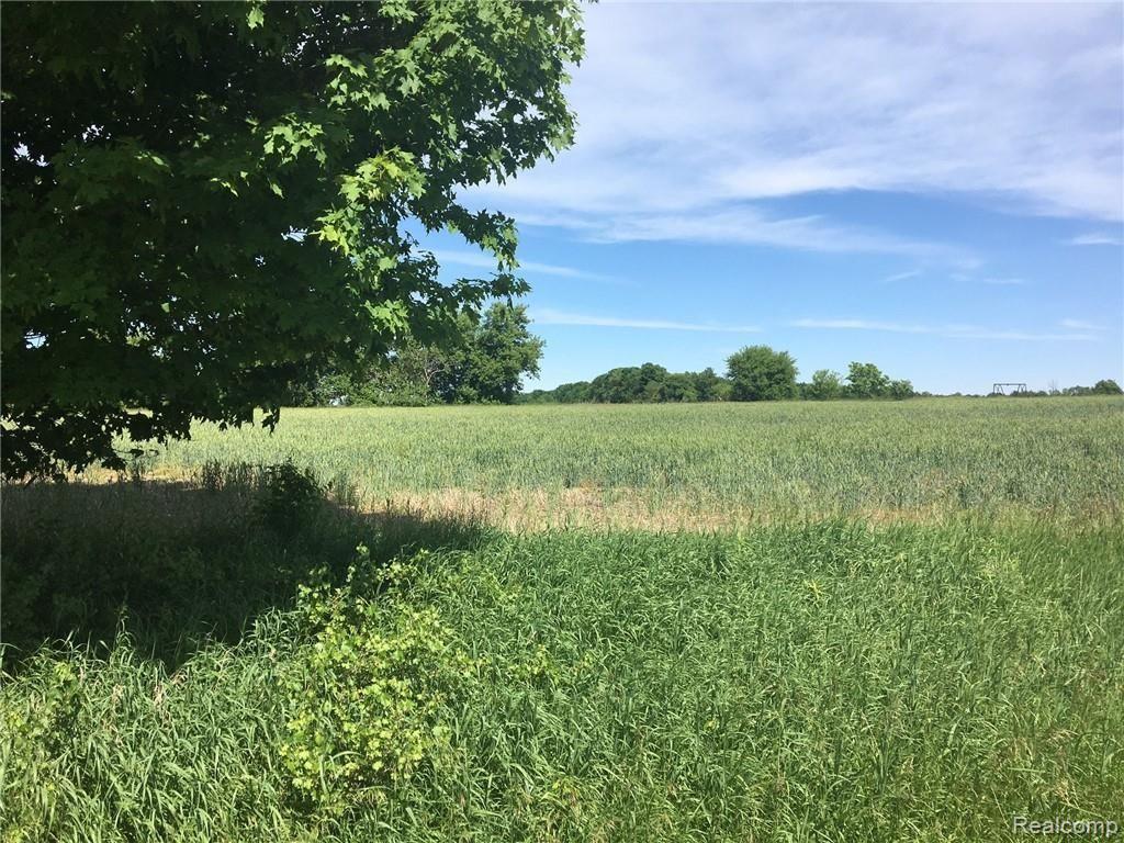 Parcel P Reynolds Road Imlay City, MI 48412 - Photo 1 of 7