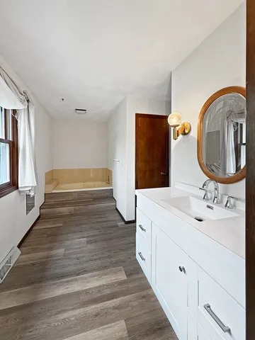 a bathroom with a sink and a mirror
