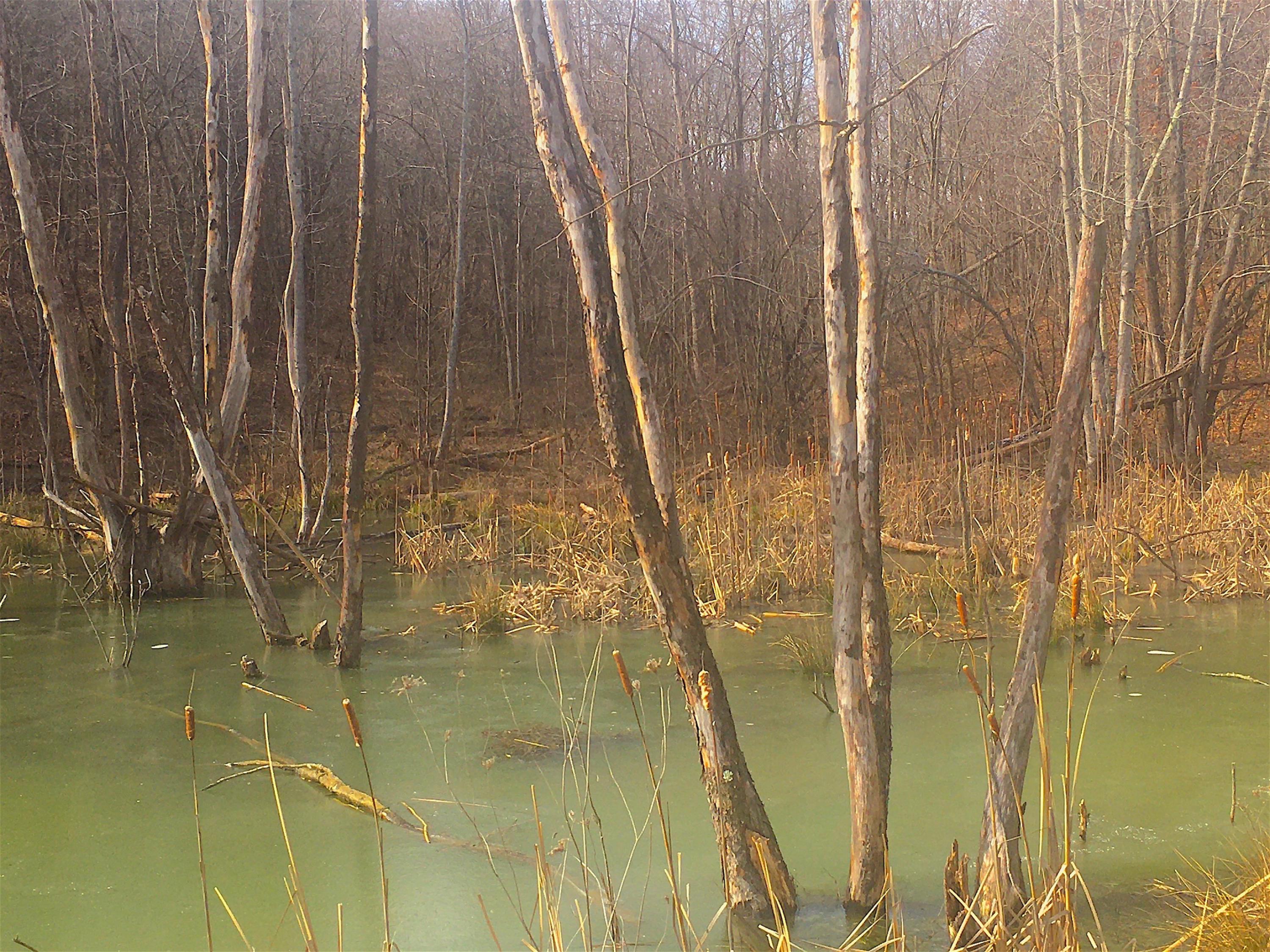 0 Vega Road Jackson, OH 45640 - Photo 13 of 45 Gallery Image 13