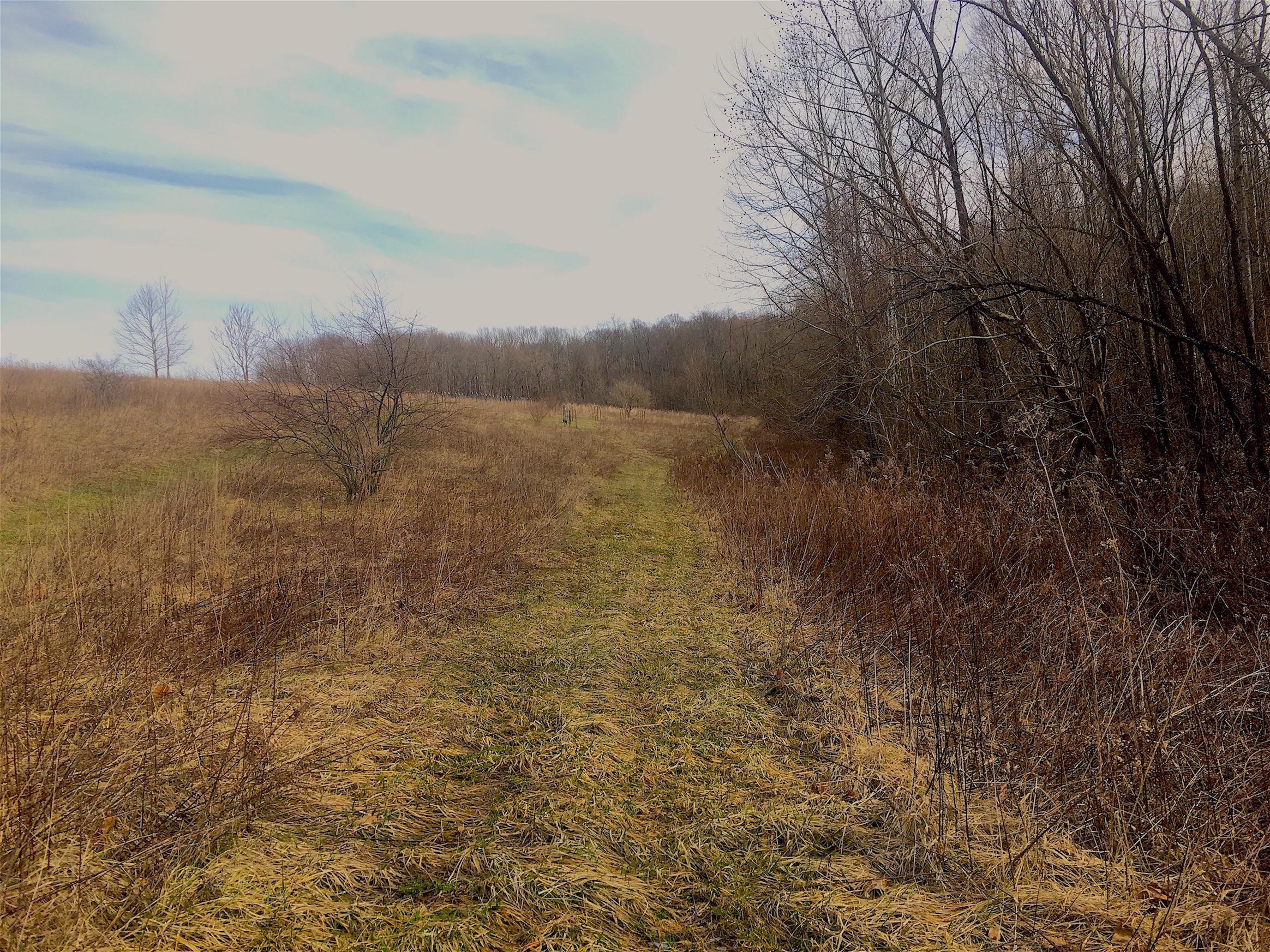 0 Vega Road Jackson, OH 45640 - Photo 25 of 45 Gallery Image 25