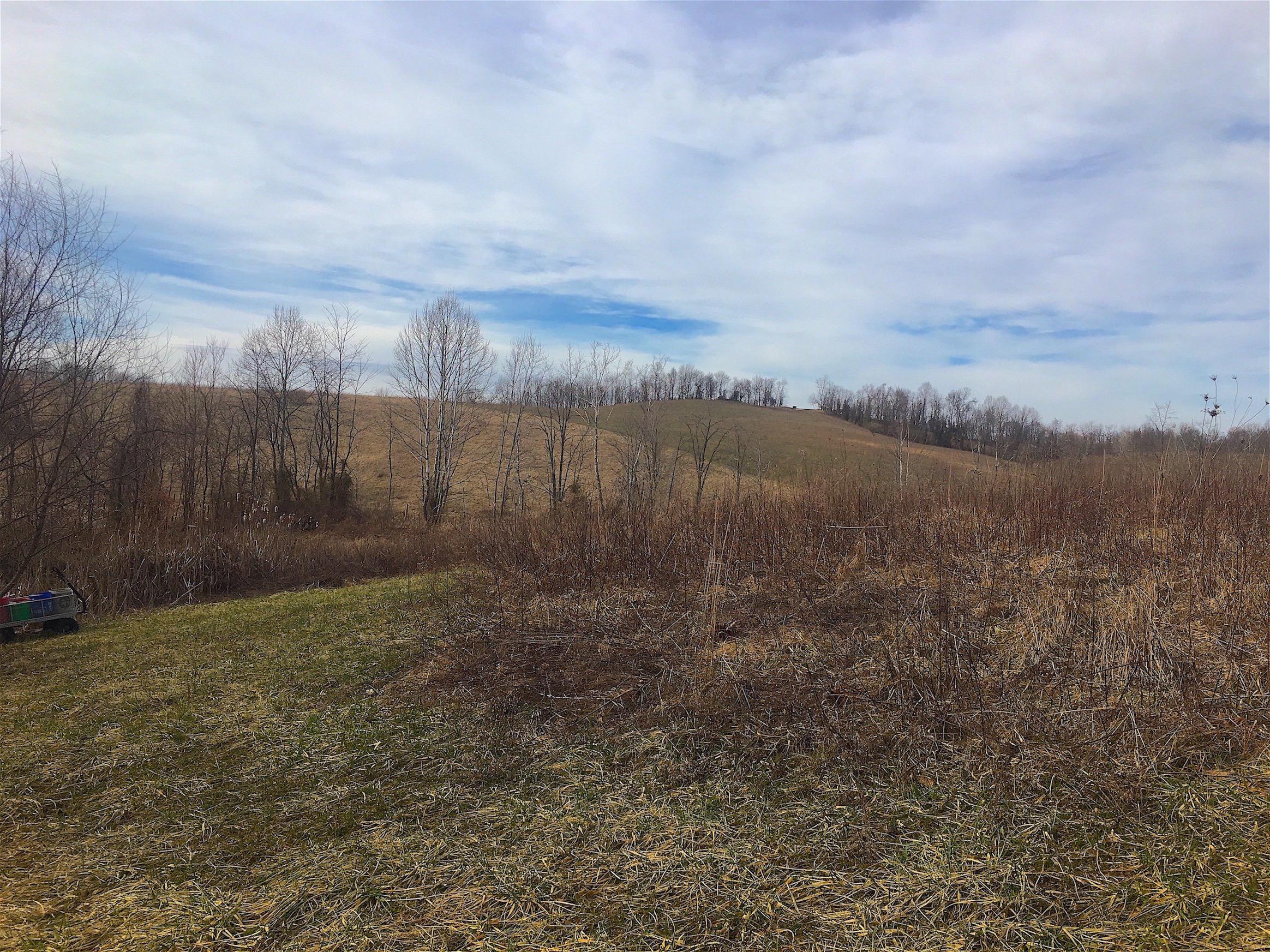 0 Vega Road Jackson, OH 45640 - Photo 26 of 45 Gallery Image 26
