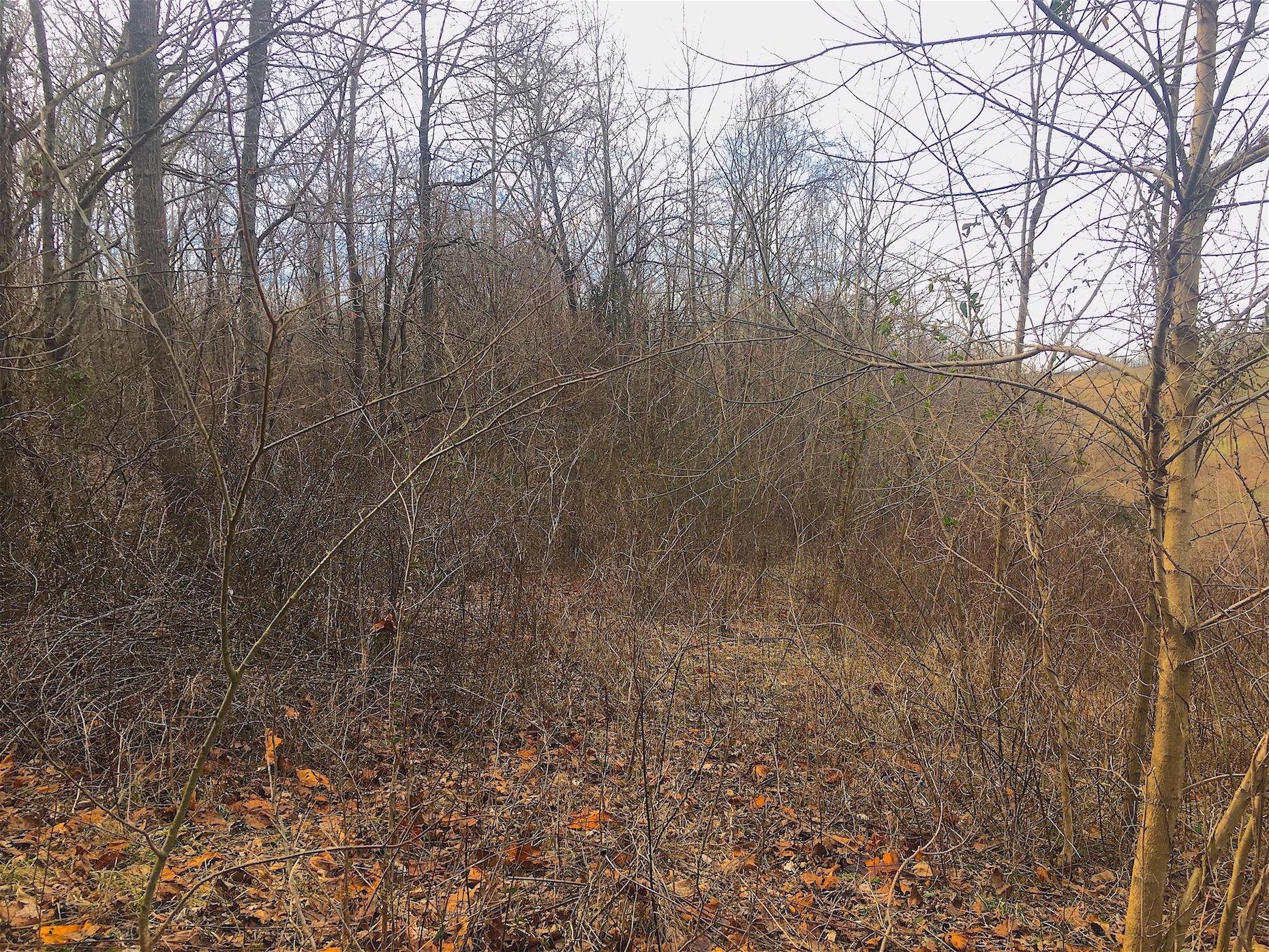0 Vega Road Jackson, OH 45640 - Photo 30 of 45 Gallery Image 30