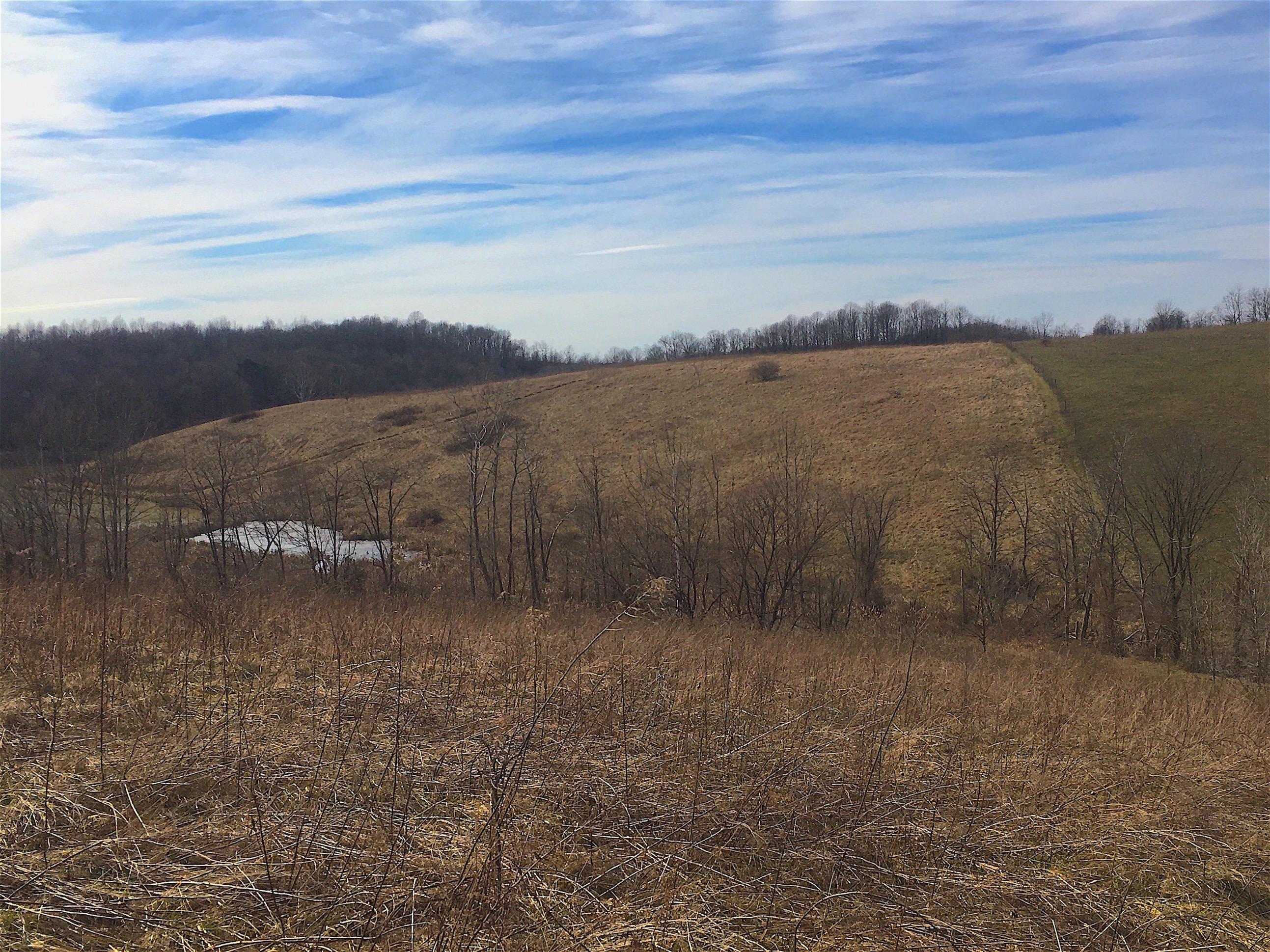 0 Vega Road Jackson, OH 45640 - Photo 32 of 45 Gallery Image 32