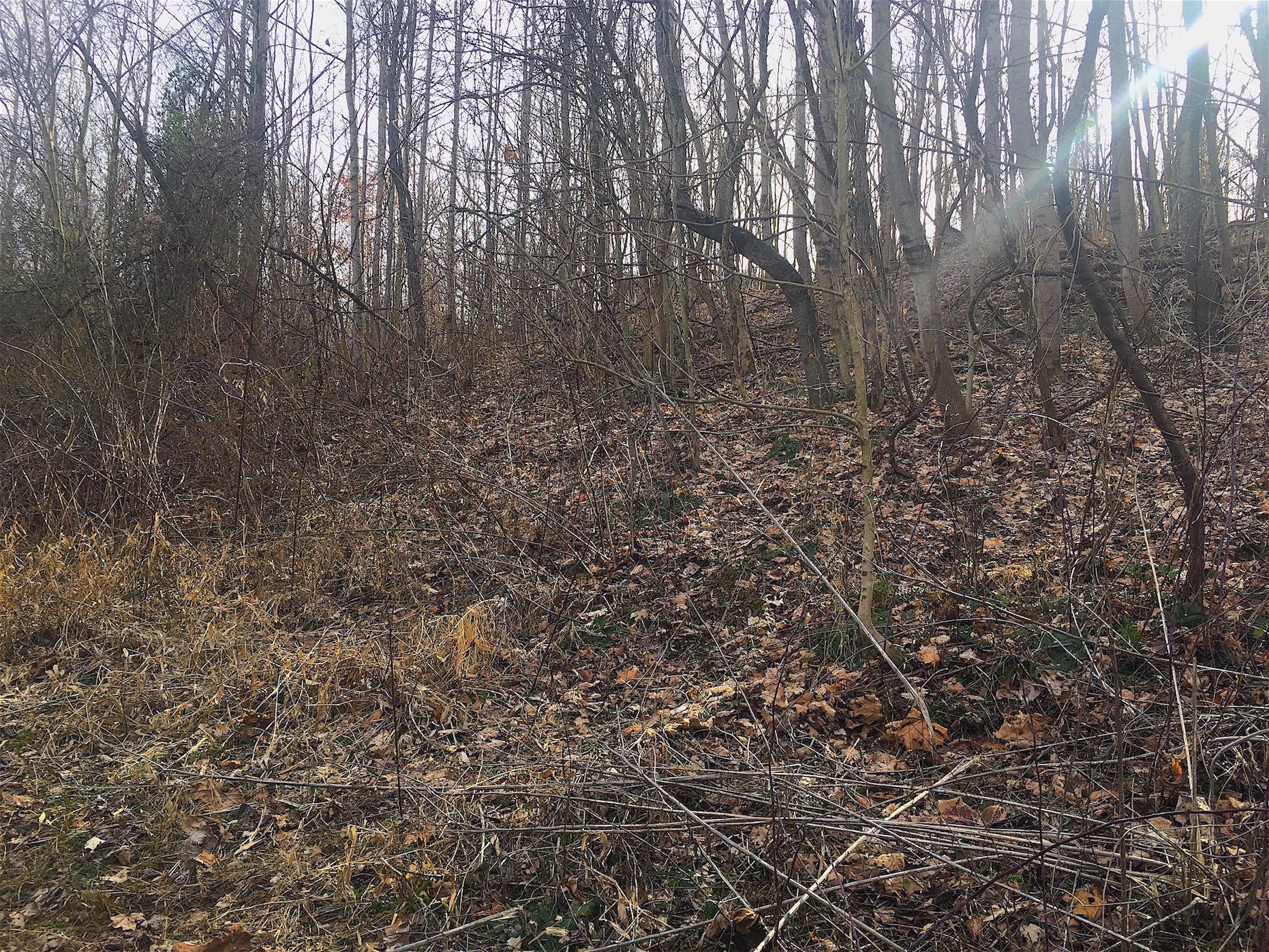 0 Vega Road Jackson, OH 45640 - Photo 33 of 45 Gallery Image 33