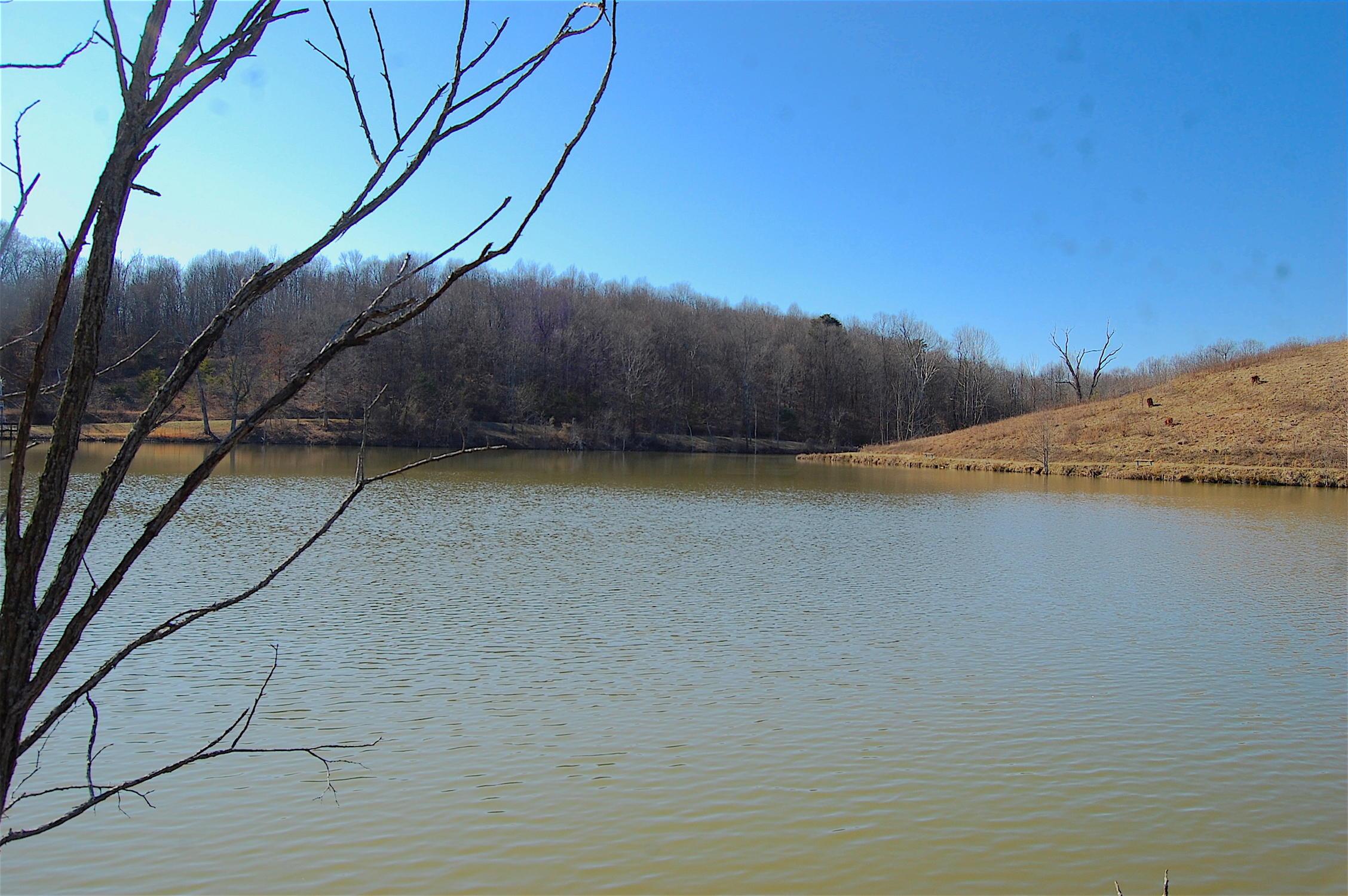 0 Vega Road Jackson, OH 45640 - Photo 8 of 45 Gallery Image 8
