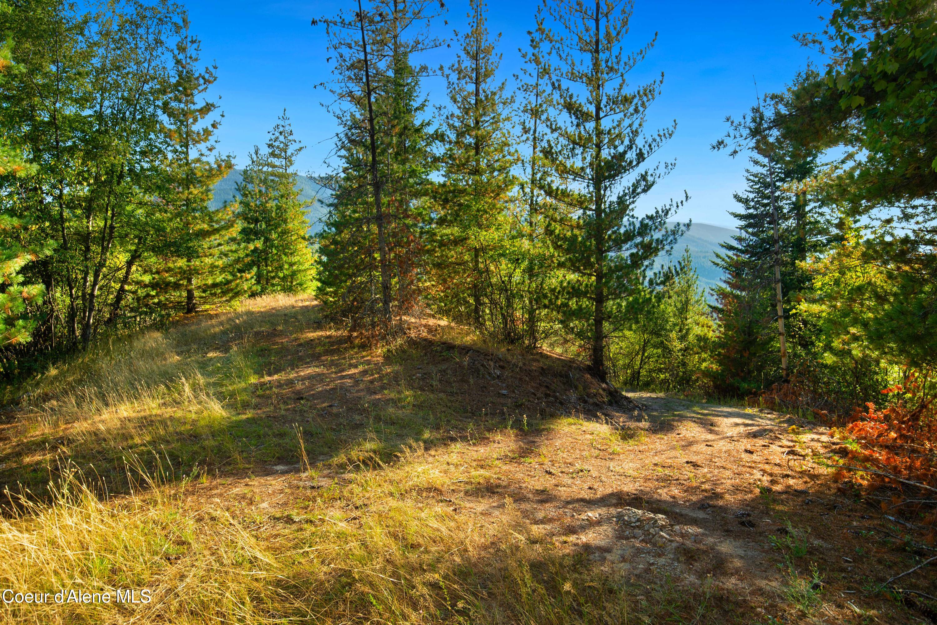 51833 Silver Valley Road Kellogg, ID 83837 - Photo 7 of 27 9-51833SVR_11