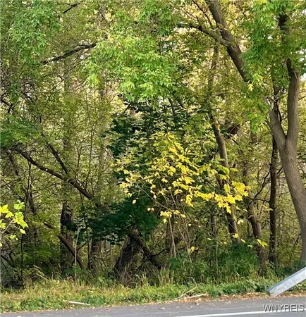 $29,900 | 3568 West Lake Road, Wilson, NY 14172