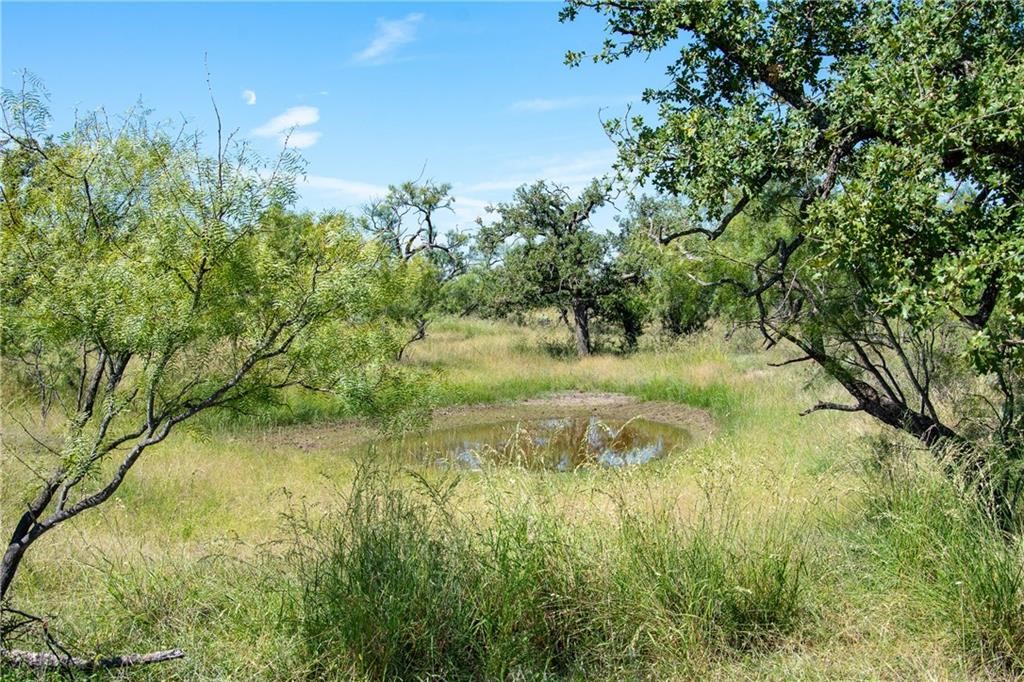 405 County Road 405 Valley Spring, TX 76885 - Photo 19 of 40