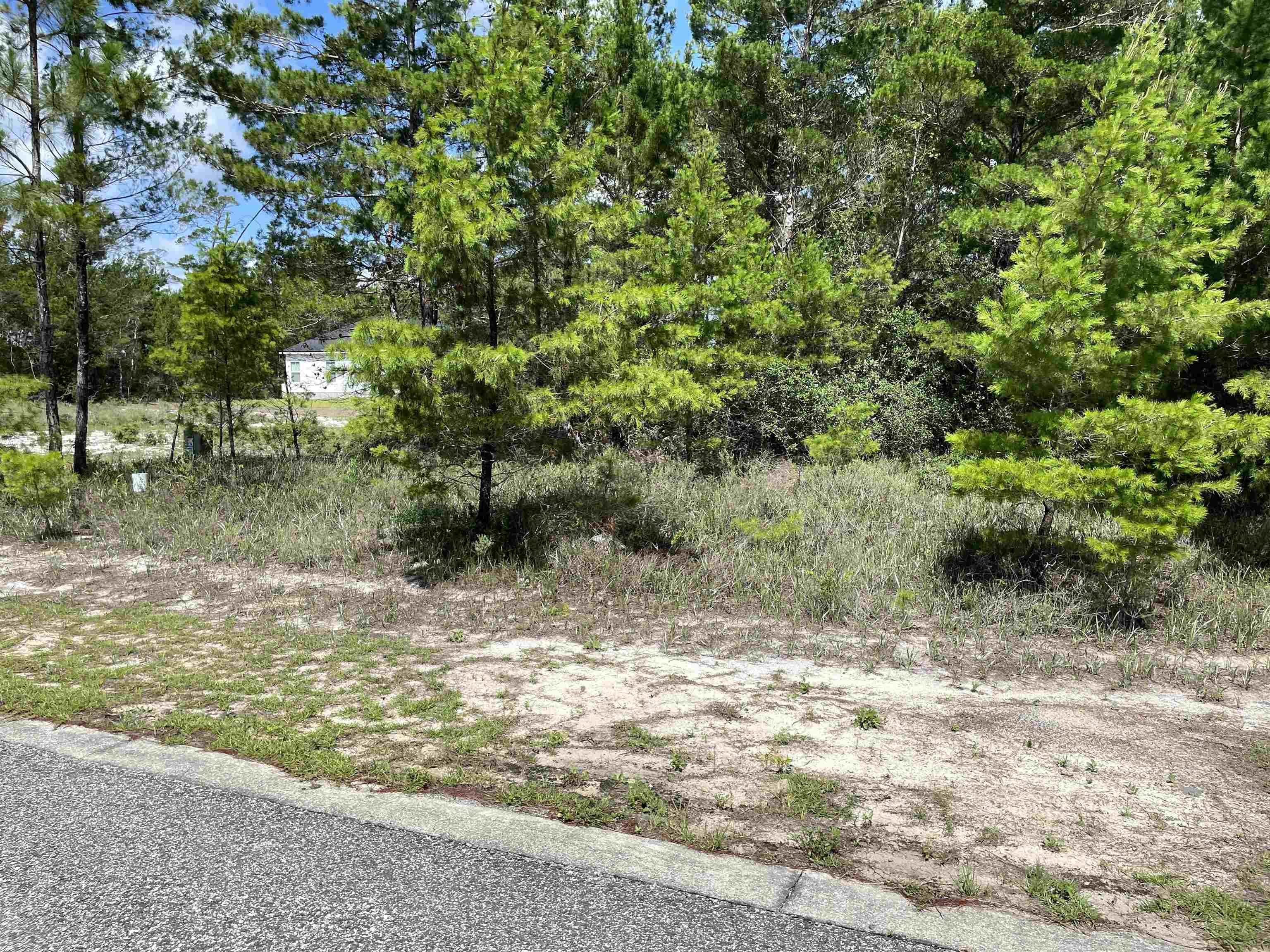 1756 Landing Street Carrabelle, FL 32322 - Photo 1 of 13