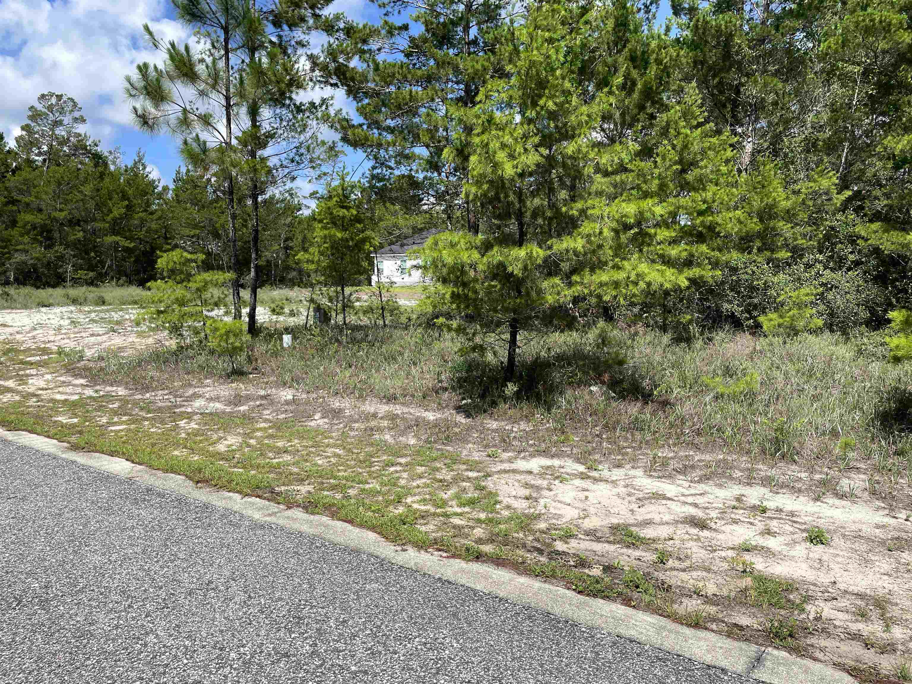 1756 Landing Street Carrabelle, FL 32322 - Photo 2 of 13