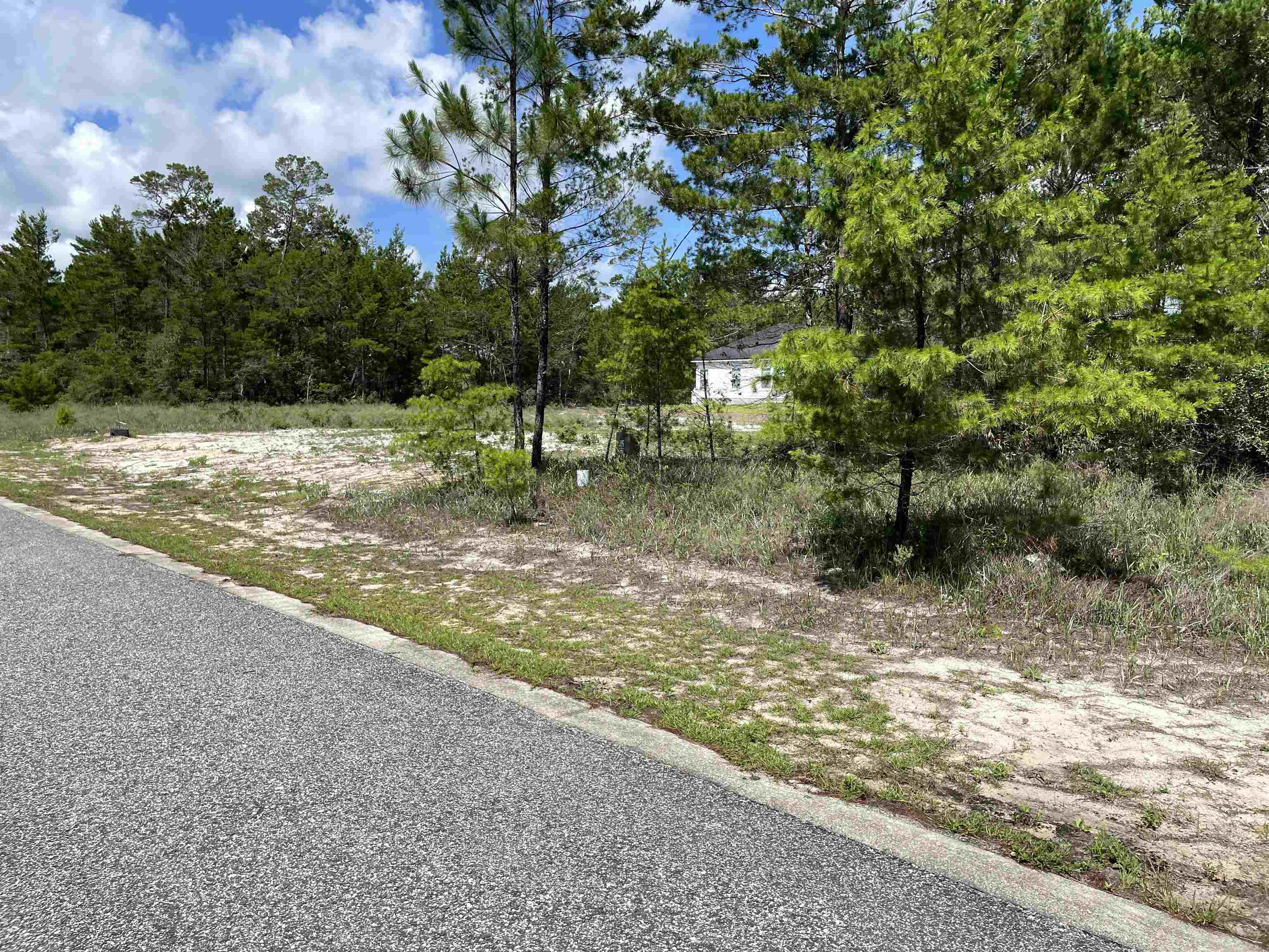 1756 Landing Street Carrabelle, FL 32322 - Photo 3 of 13