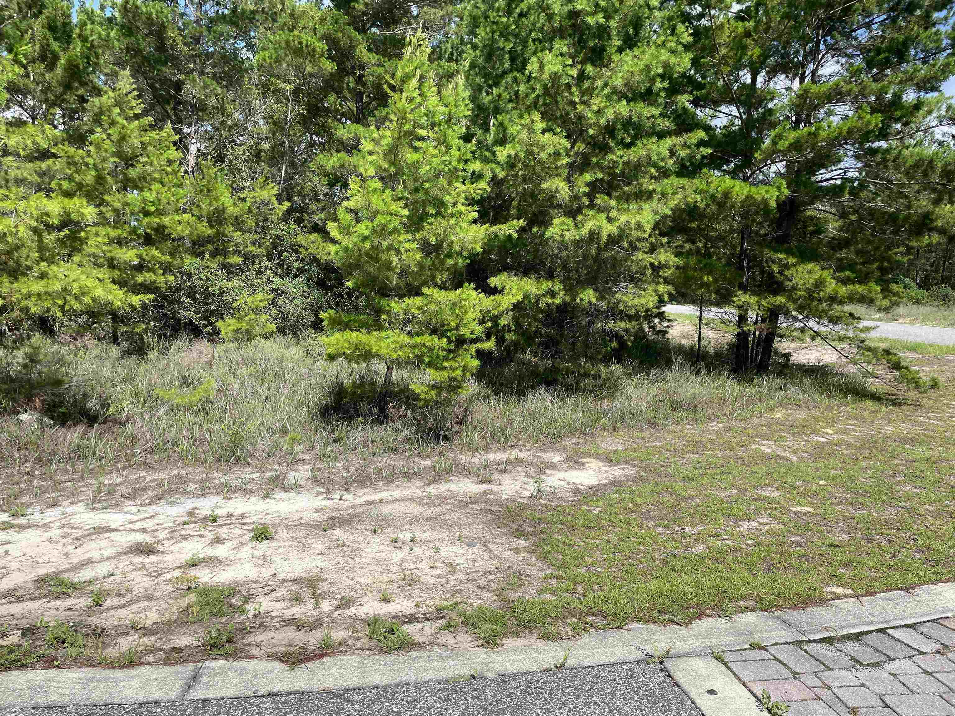 1756 Landing Street Carrabelle, FL 32322 - Photo 7 of 13