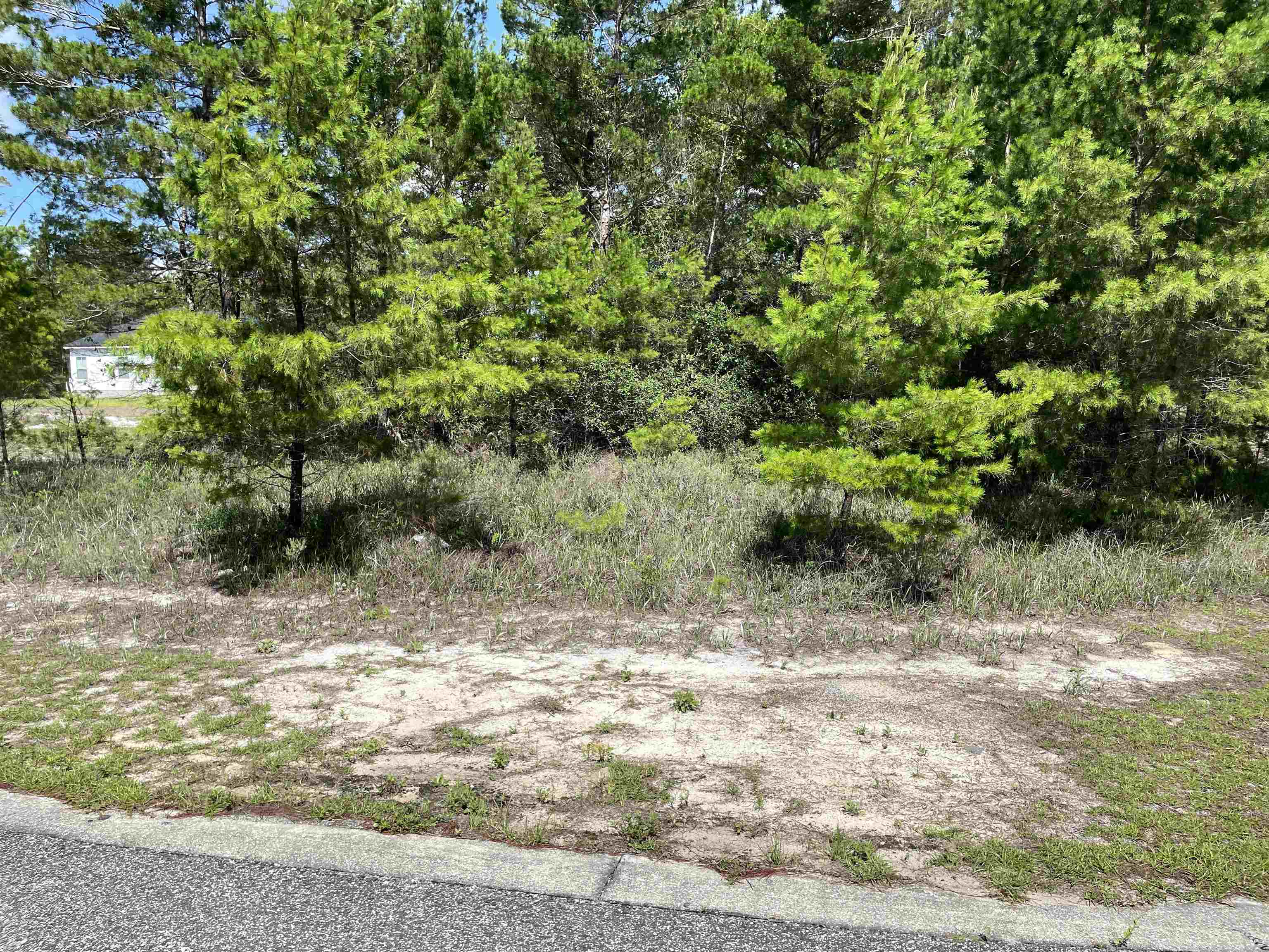 1756 Landing Street Carrabelle, FL 32322 - Photo 8 of 13