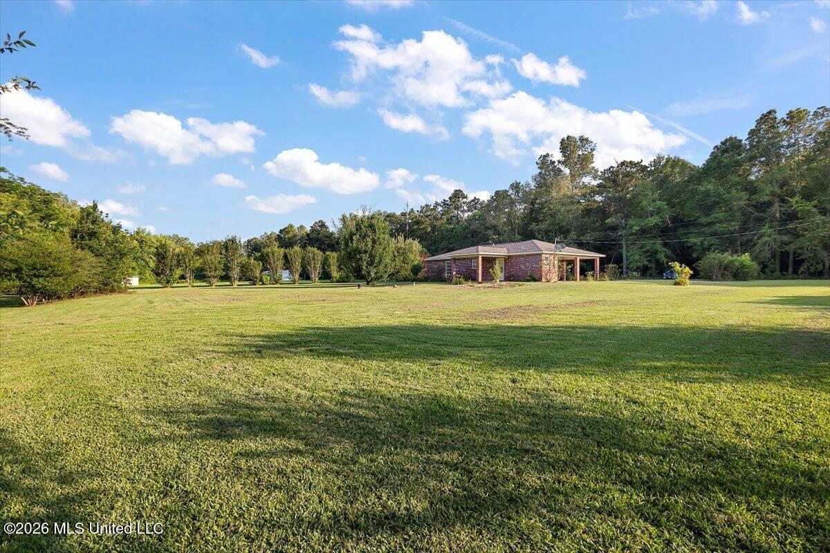 167 Lone Pine Church Road Lena, MS 39094 - Photo 23 of 23 23-HTP_8315