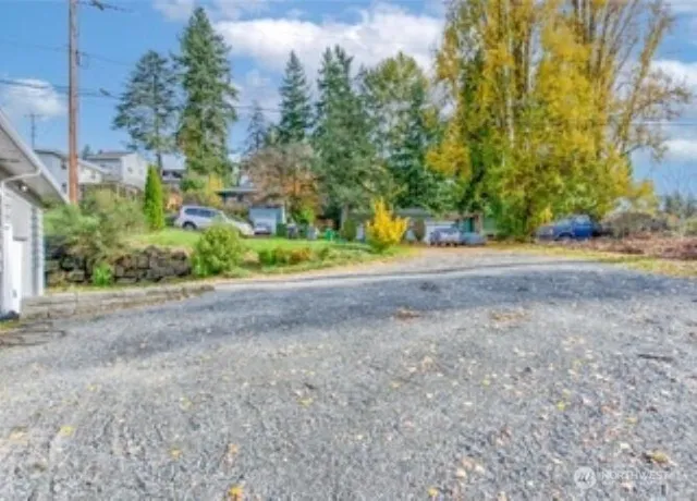 a view of a yard with plants and trees
