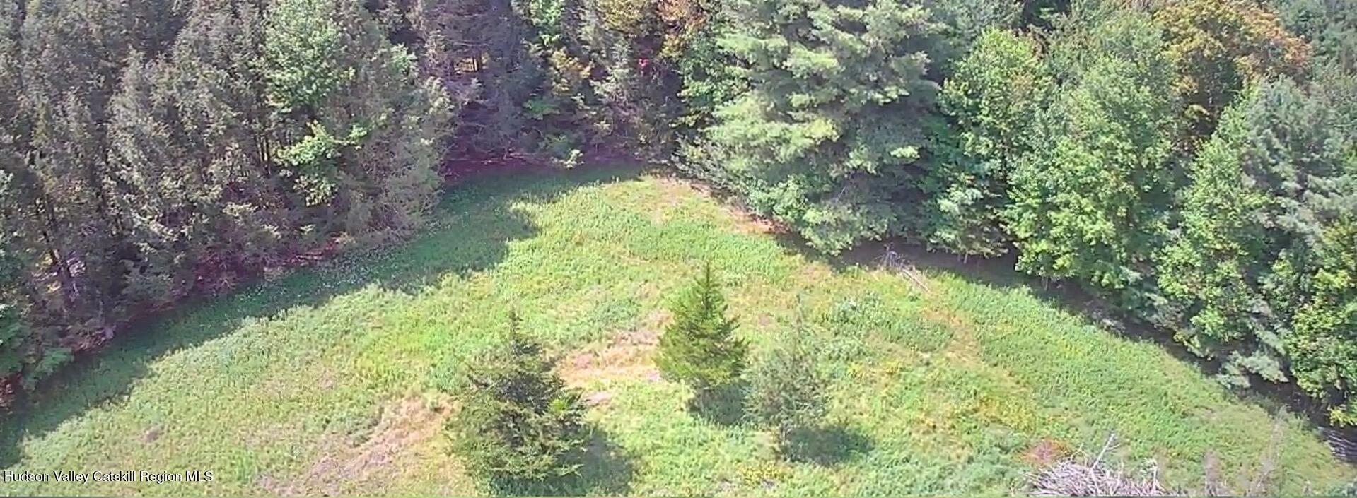0 Deer Run Road Prattsville, NY 12468 - Photo 20 of 21 Bernie2