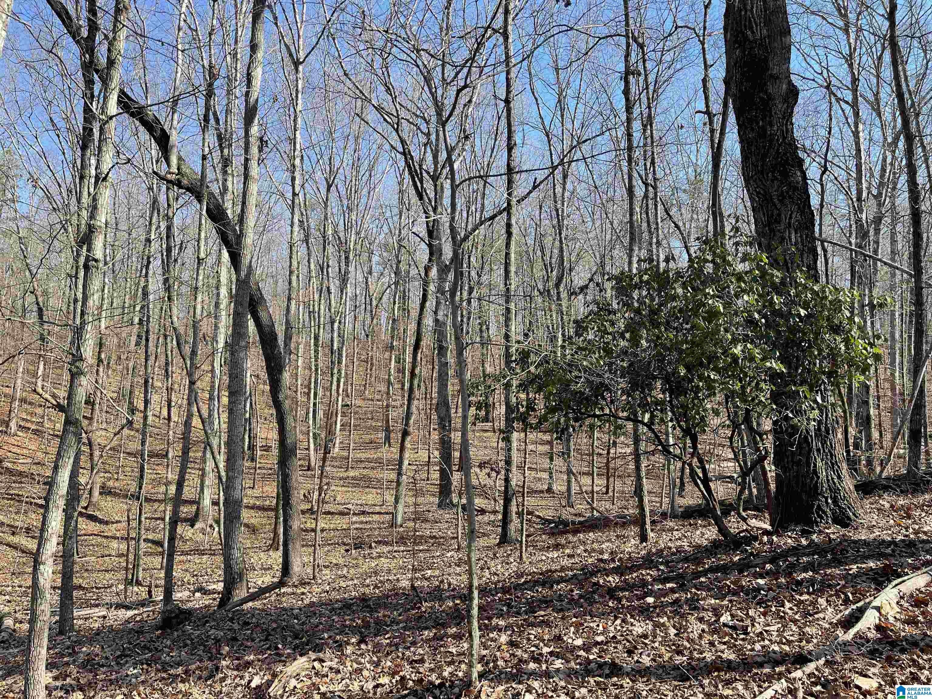 0 County Road 852, Unit 2 Ranburne, AL 36273 - Photo 12 of 19