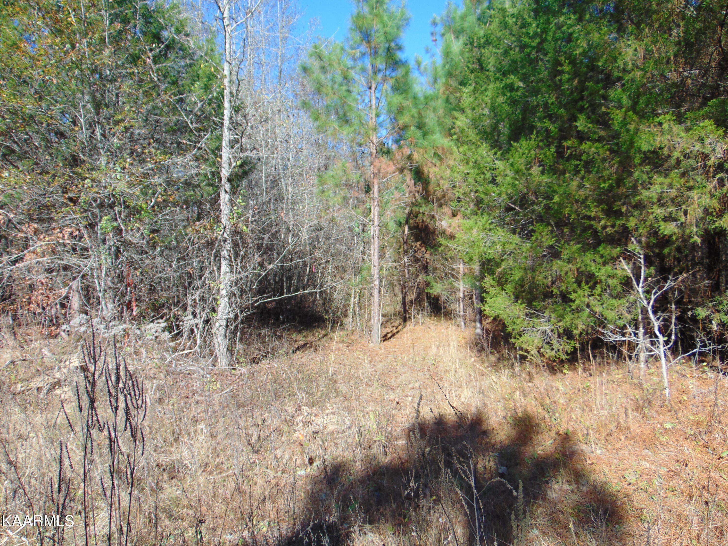 39 R Athens Road Delano, TN 37325 - Photo 7 of 17 DSC01851