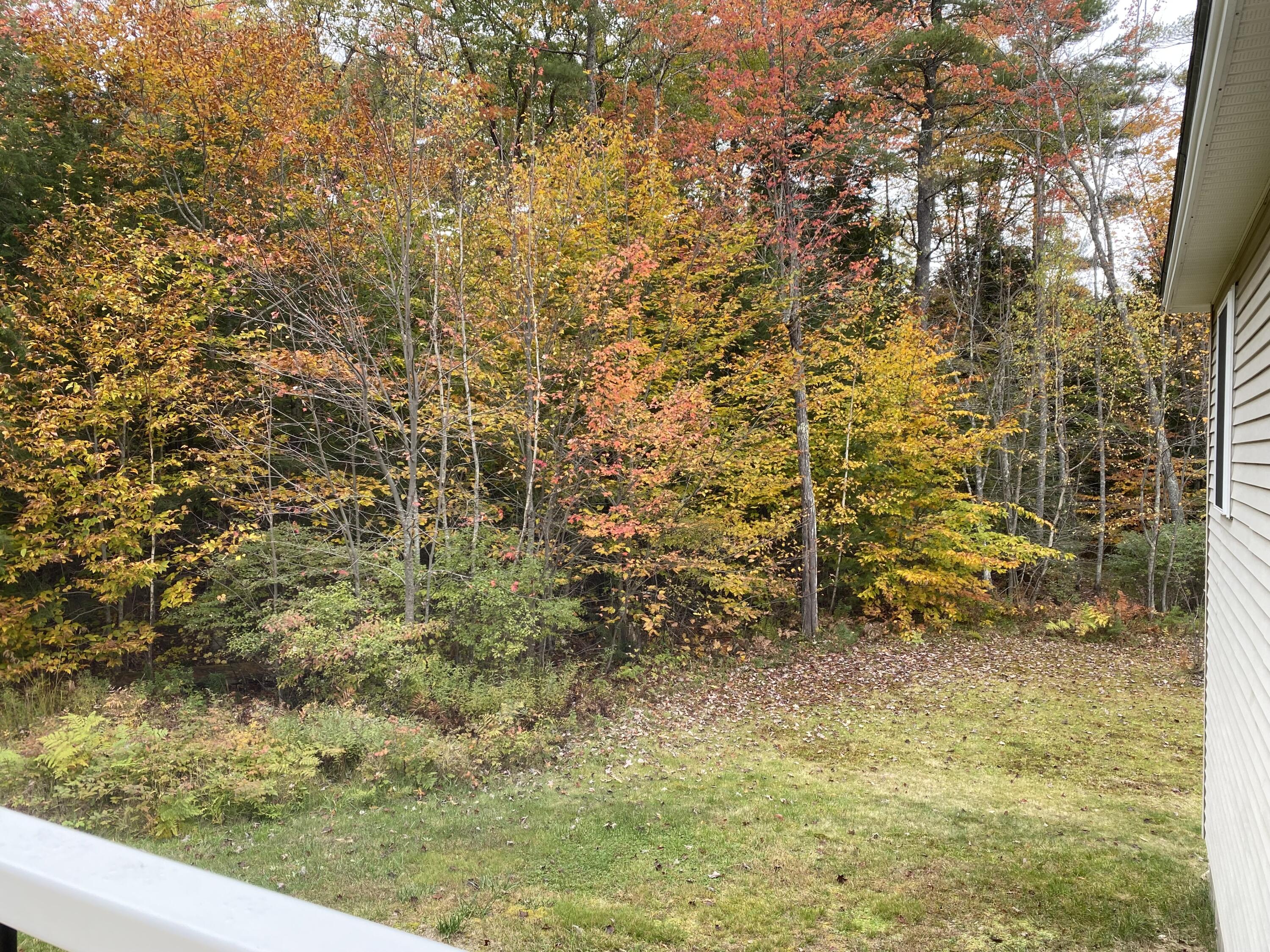 135 Edes Falls Road Harrison, ME 04040 - Photo 61 of 72 IMG_6499
