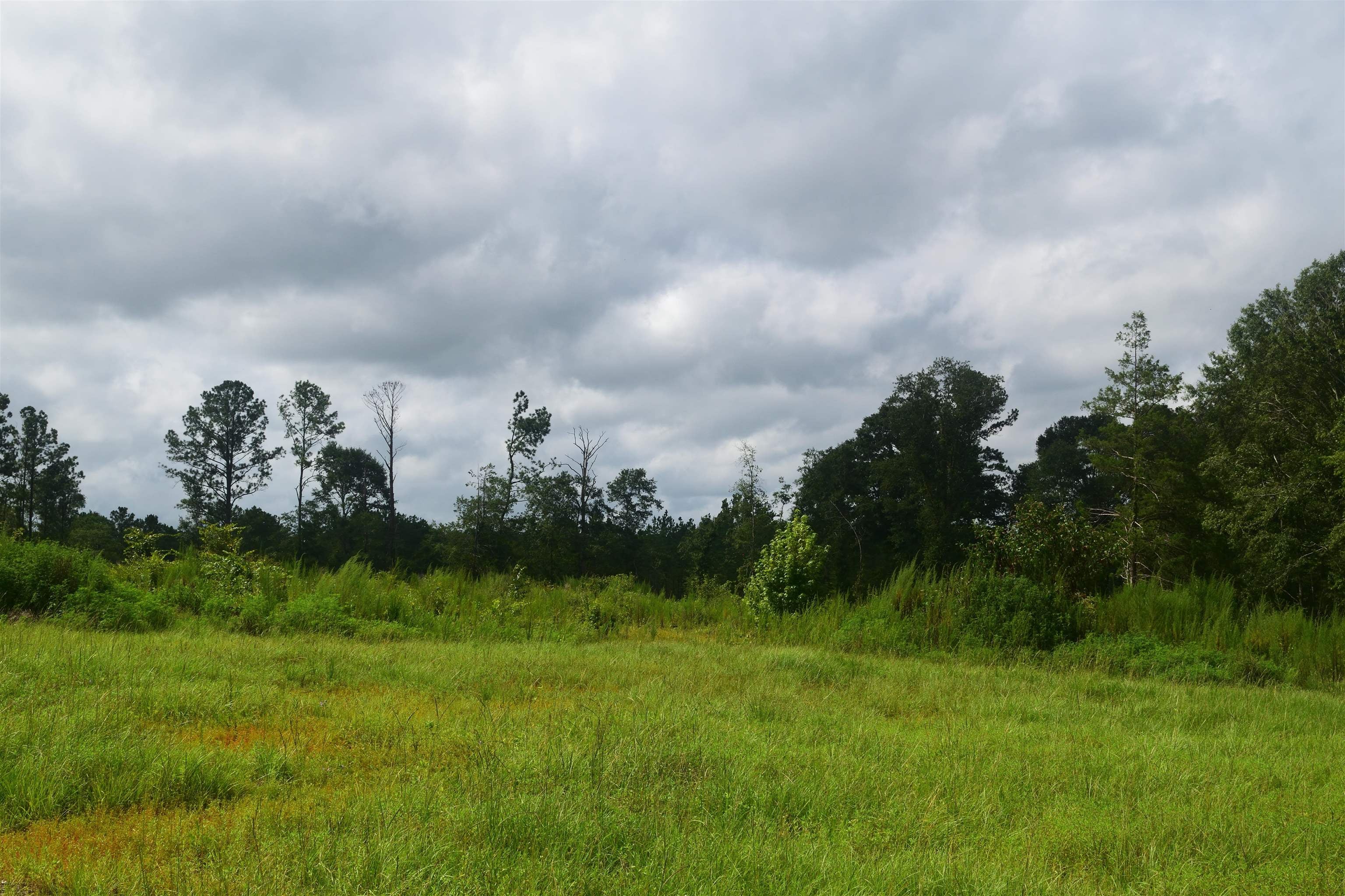 22535 Rosin Ridge Road Red Level, AL 36474 - Photo 39 of 46 Gallery Image 39
