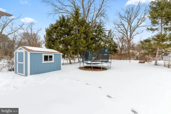a view of street with large trees