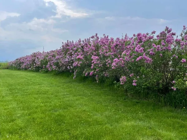 $275,000 | 16063 County Highway, Tracy, MN 56175