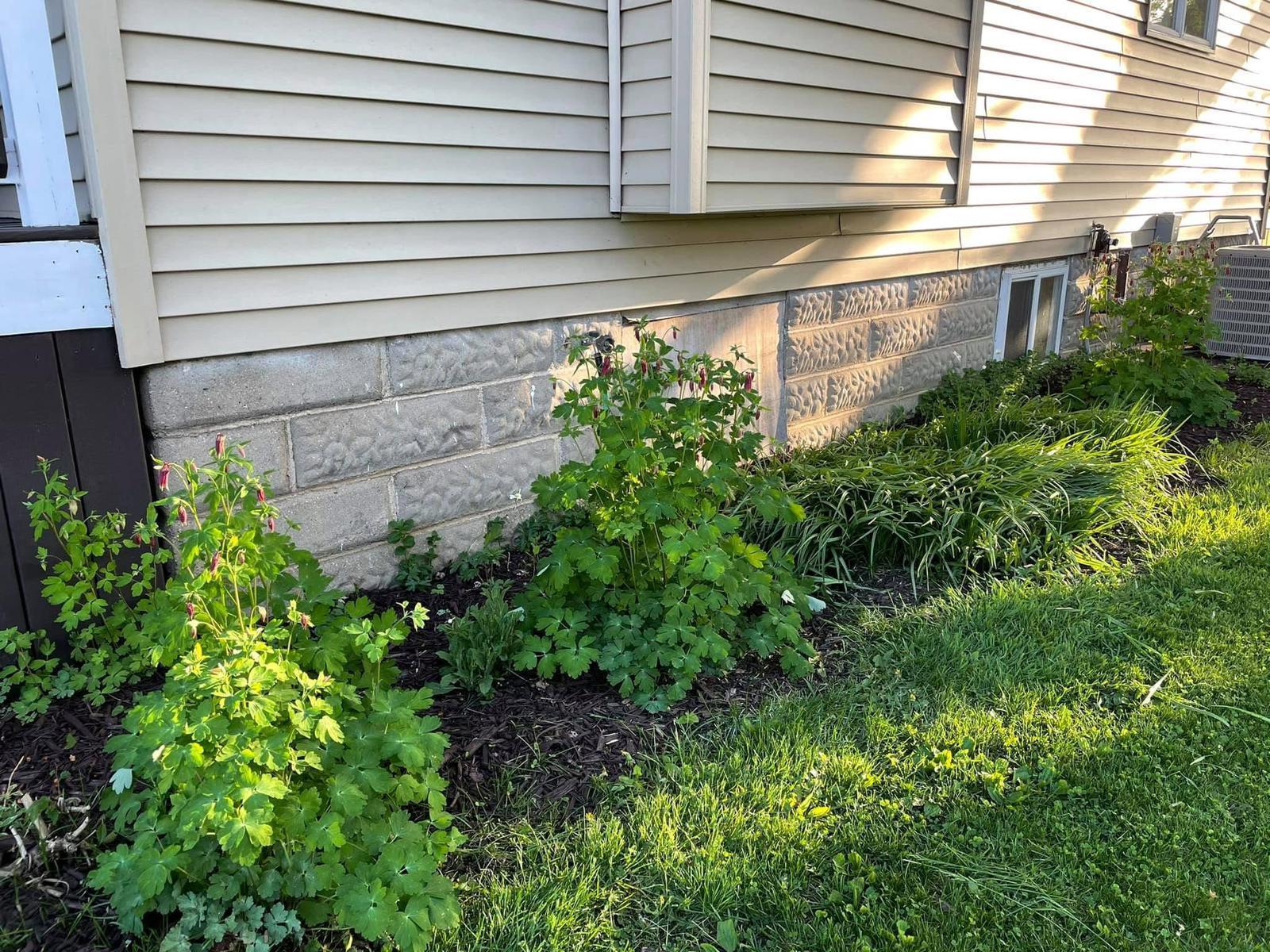 16063 County Highway Tracy, MN 56175 - Photo 41 of 55