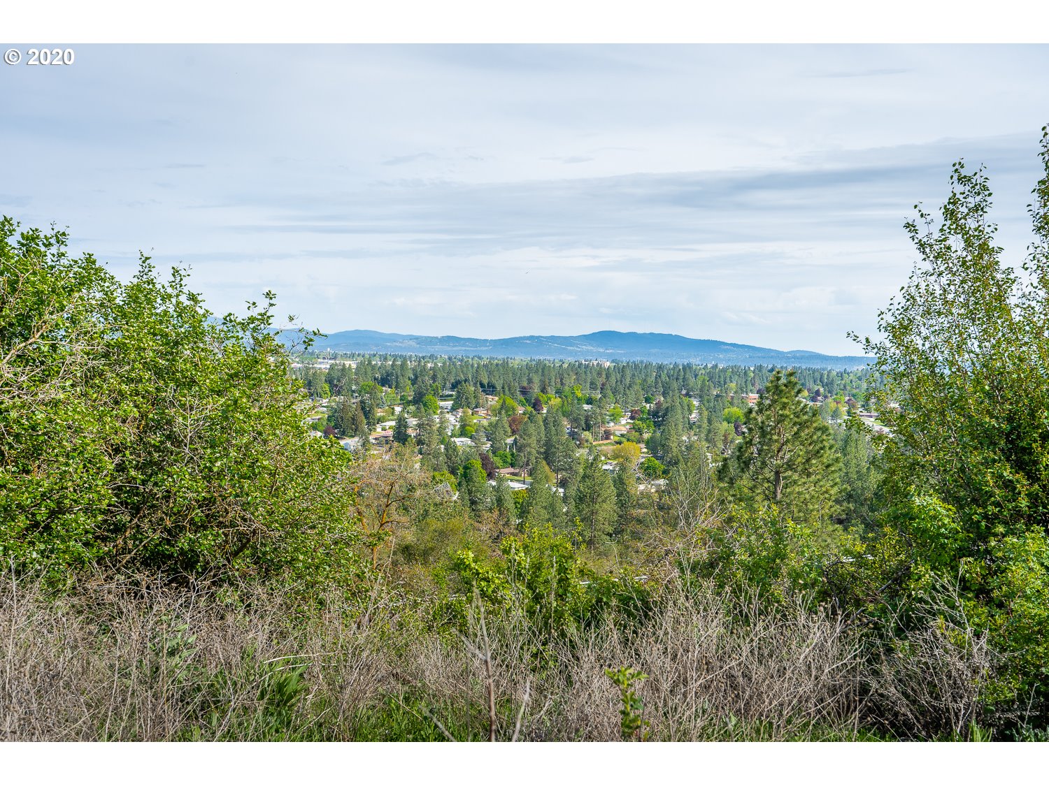 8313 North Northview Court Spokane, WA 99208 - Photo 17 of 29