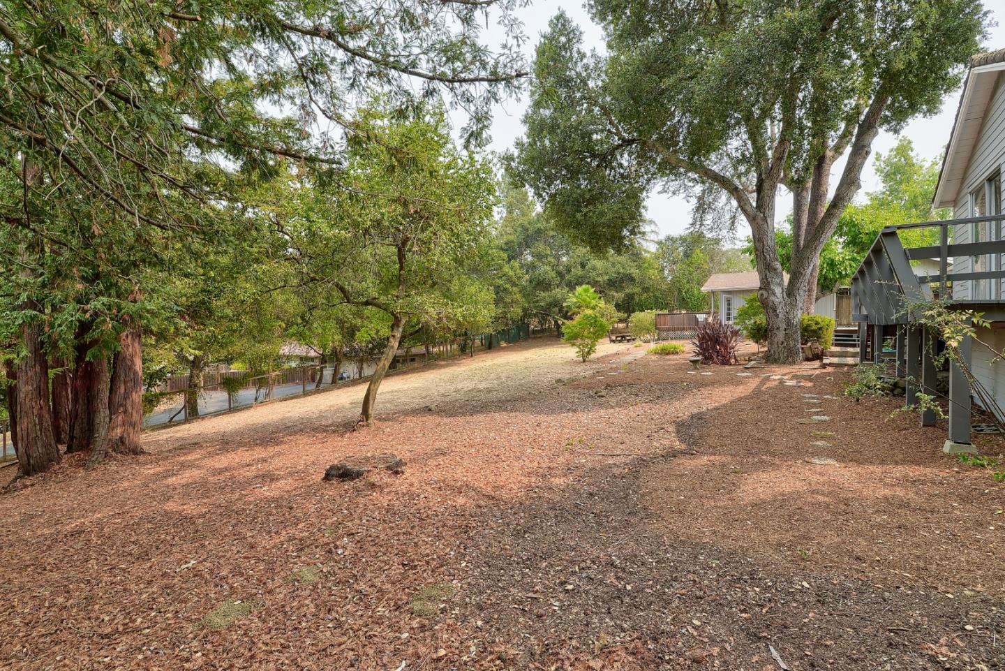 148 Bardet Road Woodside, CA 94062 - Photo 31 of 39 a street view with large trees