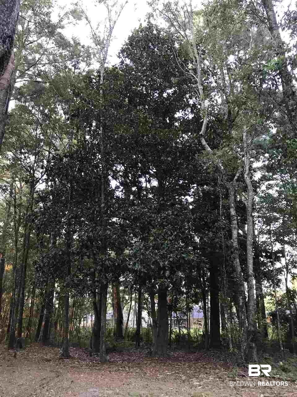 1 Styx River Road Stapleton, AL 36578 - Photo 6 of 11 Gallery Image 6