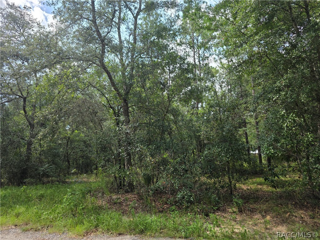 3211 East Millside Lane Inverness, FL 34453 - Photo 7 of 20