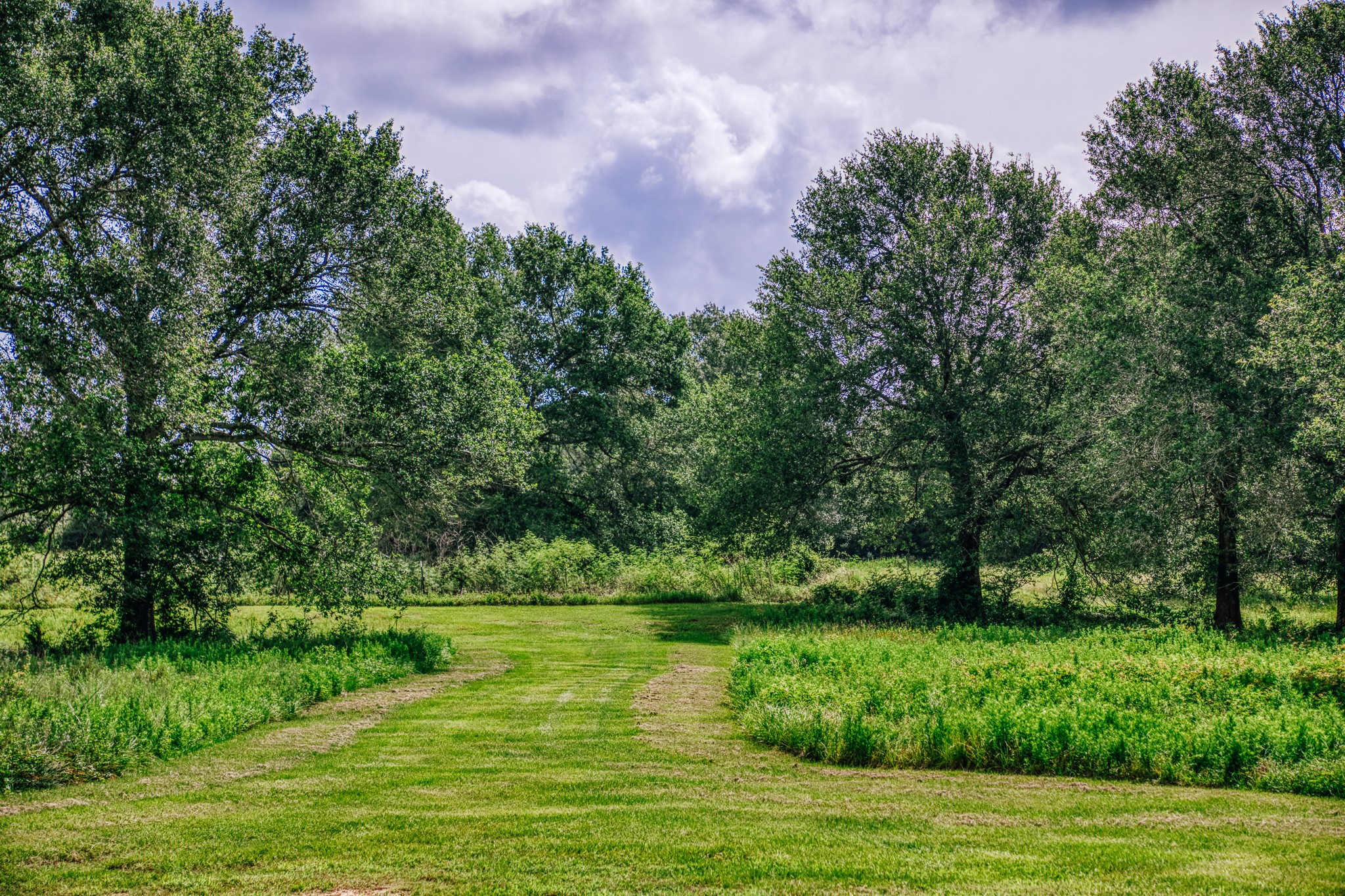 38261 Fm 1736 Road Hempstead, TX 77445 - Photo 4 of 43 Trails throughout the property