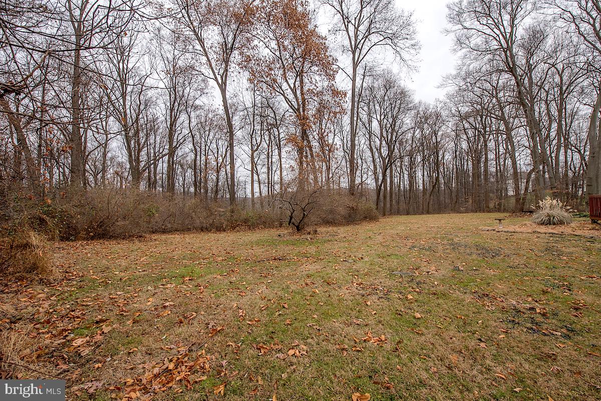 891 Fairview Road Glenmoore, PA 19343 - Photo 24 of 28 Back Yard