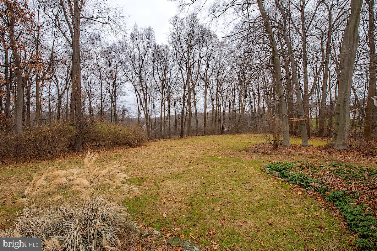 891 Fairview Road Glenmoore, PA 19343 - Photo 28 of 28 Side Yard