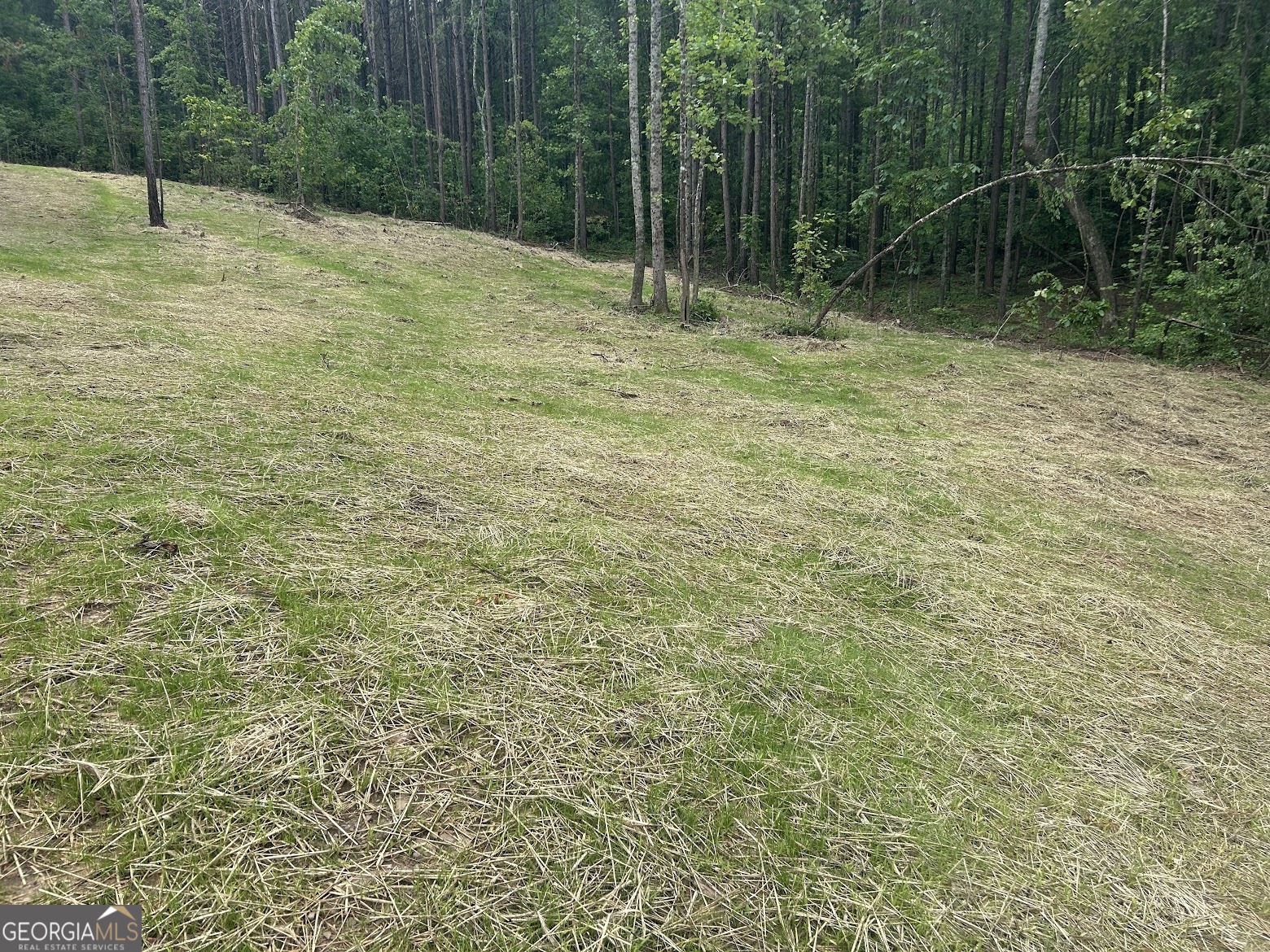 111 Riversong (tract 26) Carrollton, GA 30117 - Photo 28 of 72 a view of outdoor space and yard