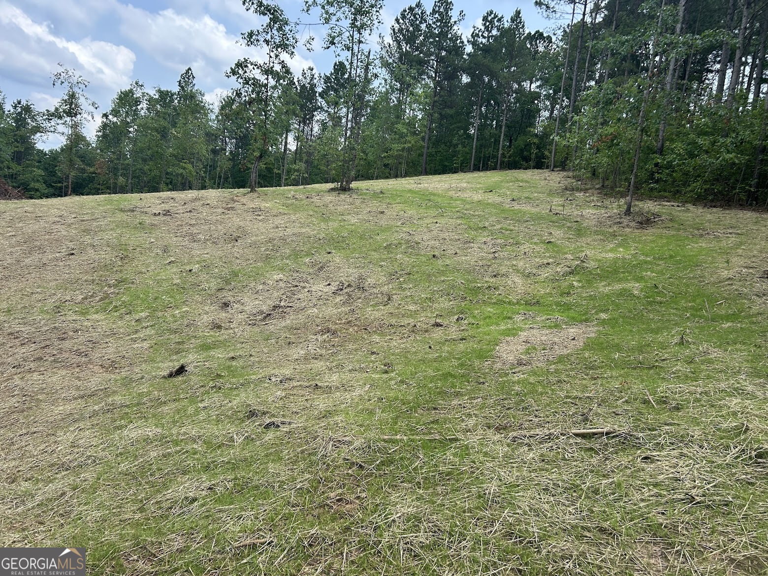 111 Riversong (tract 26) Carrollton, GA 30117 - Photo 29 of 72 a backyard of a house with lots of green space