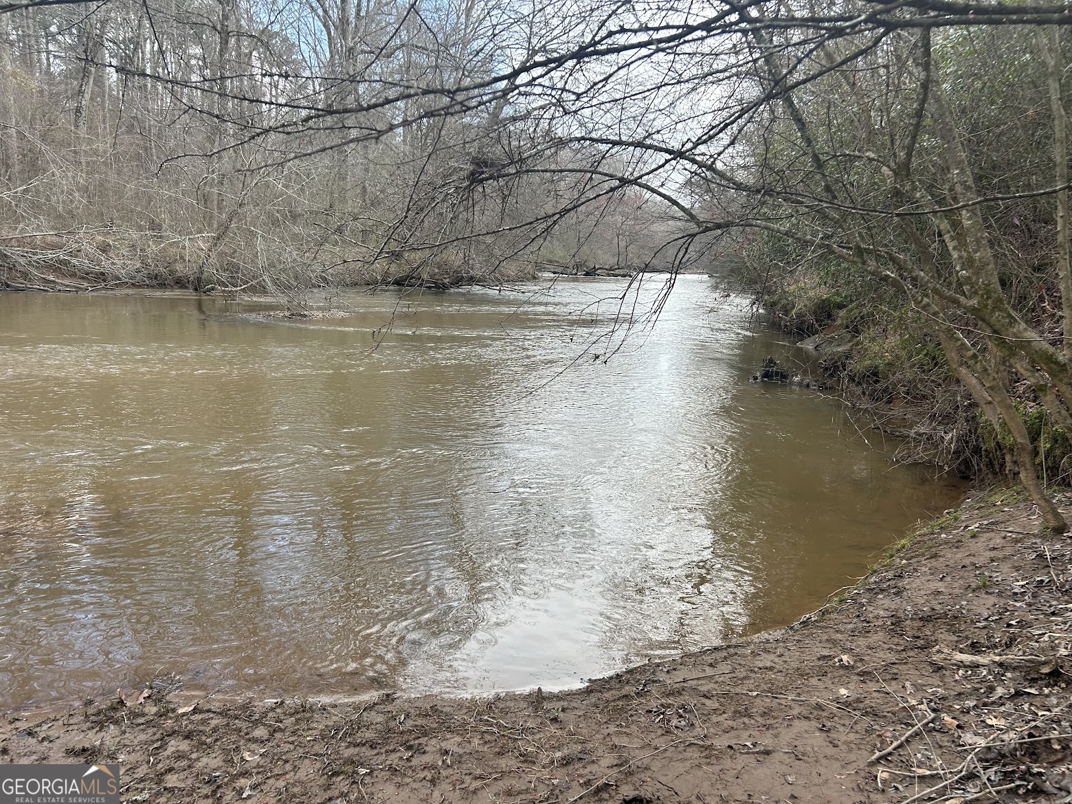 111 Riversong (tract 26) Carrollton, GA 30117 - Photo 3 of 72 a view of lake with a yard