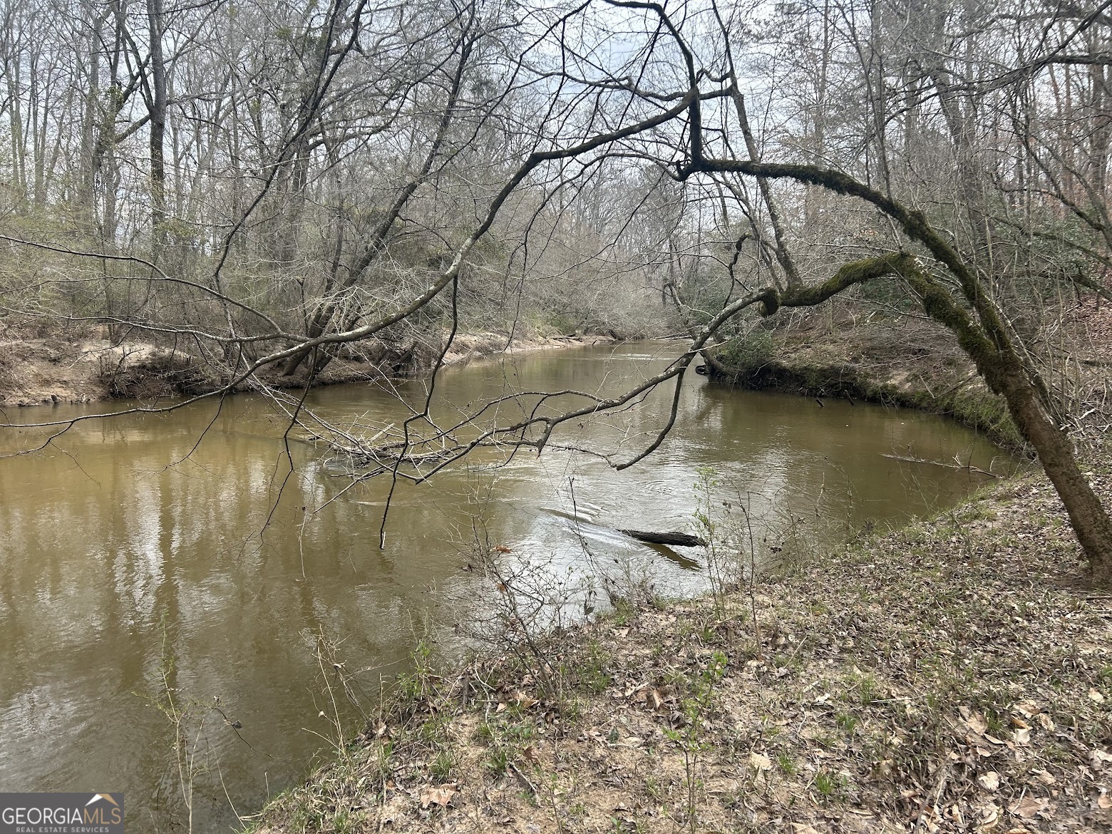 111 Riversong (tract 26) Carrollton, GA 30117 - Photo 34 of 72 a backyard of a house with a yard and large tree