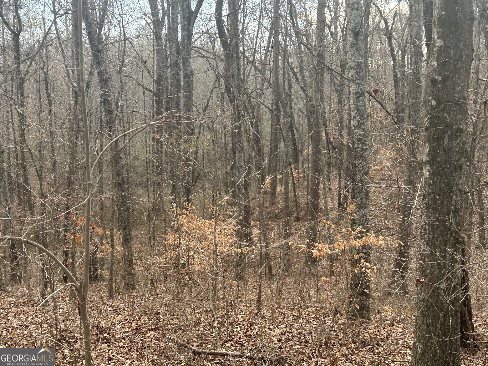 111 Riversong (tract 26) Carrollton, GA 30117 - Photo 37 of 72