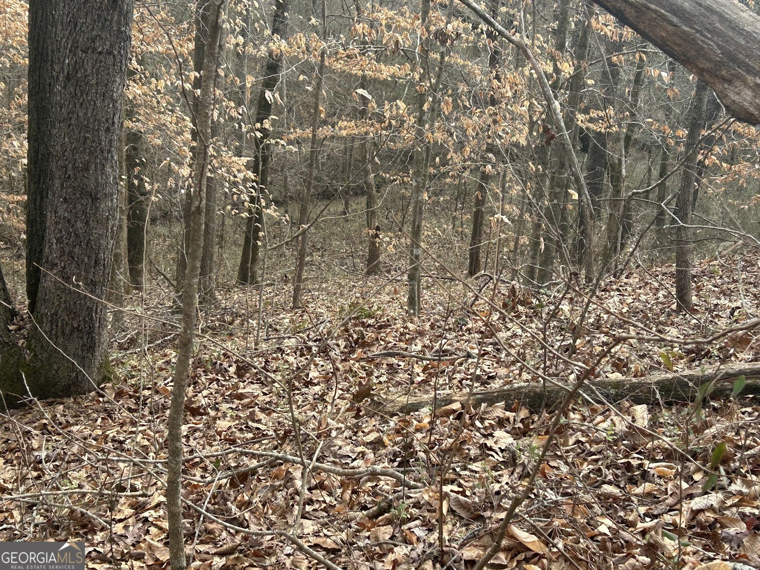 111 Riversong (tract 26) Carrollton, GA 30117 - Photo 41 of 72