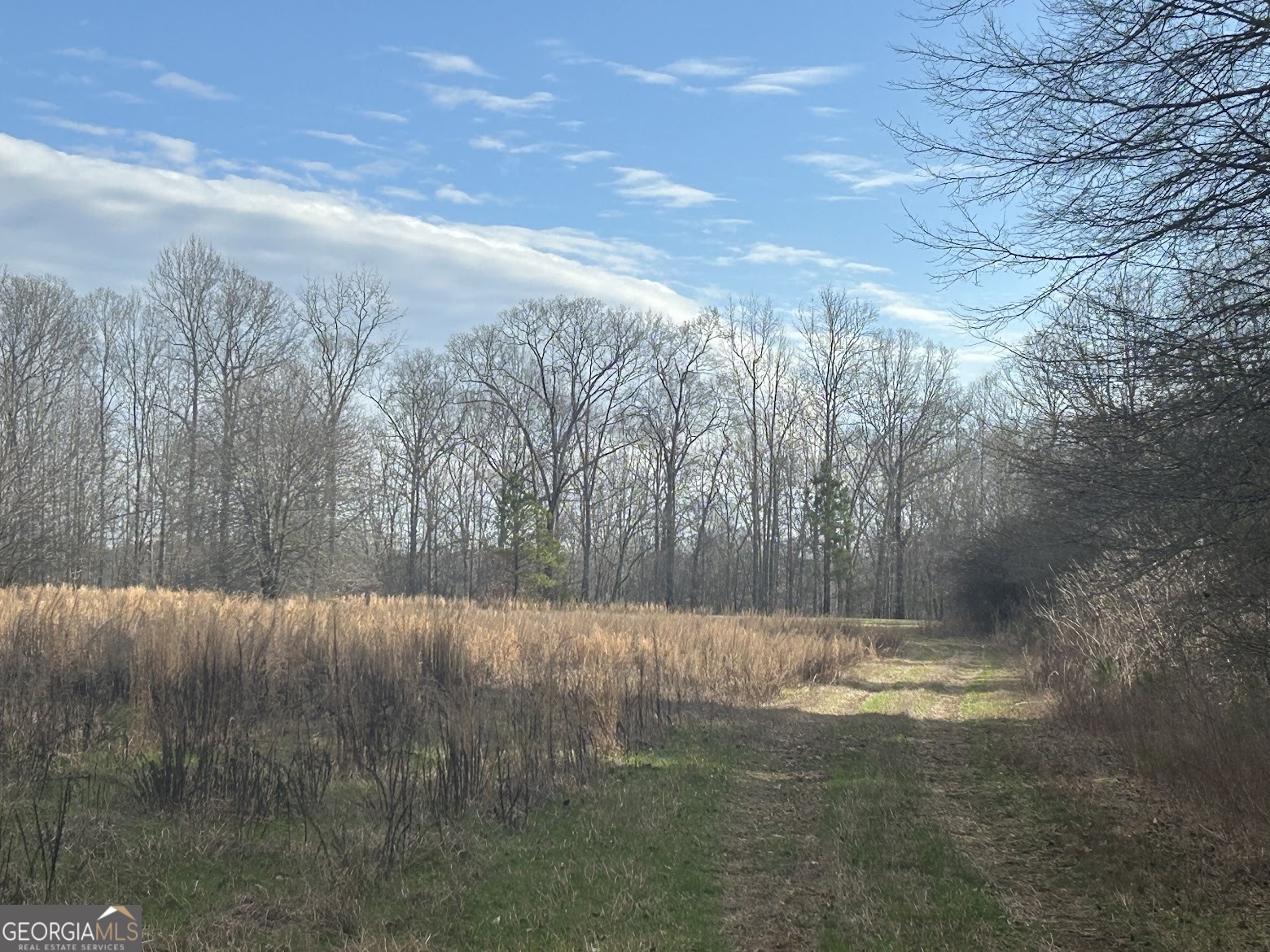 111 Riversong (tract 26) Carrollton, GA 30117 - Photo 48 of 72 a view of dirt field with trees in the background