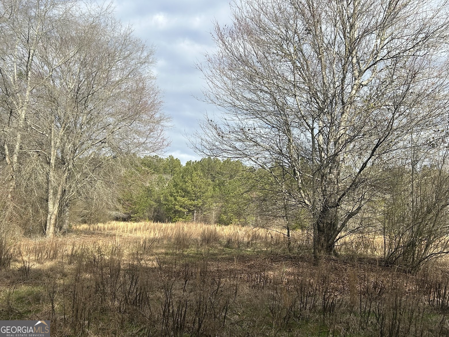 111 Riversong (tract 26) Carrollton, GA 30117 - Photo 49 of 72 a view of lake view with lots of trees