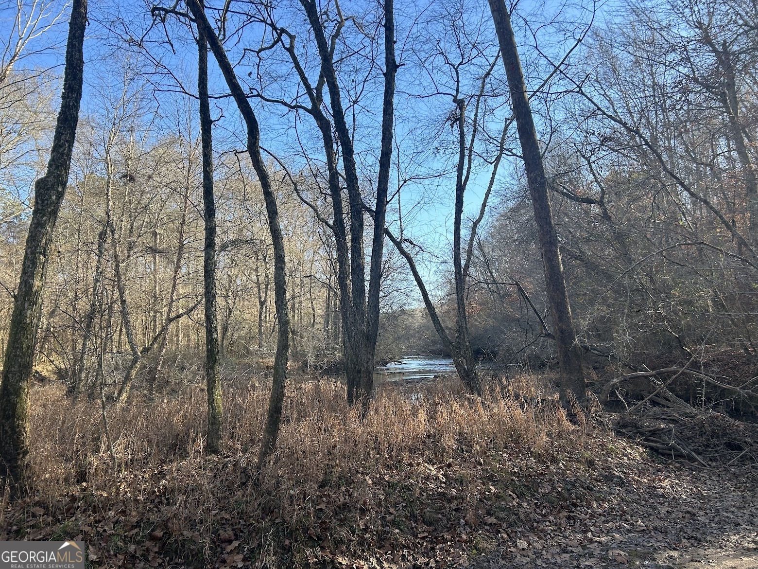 111 Riversong (tract 26) Carrollton, GA 30117 - Photo 50 of 72 a backyard of a house with lots of green space