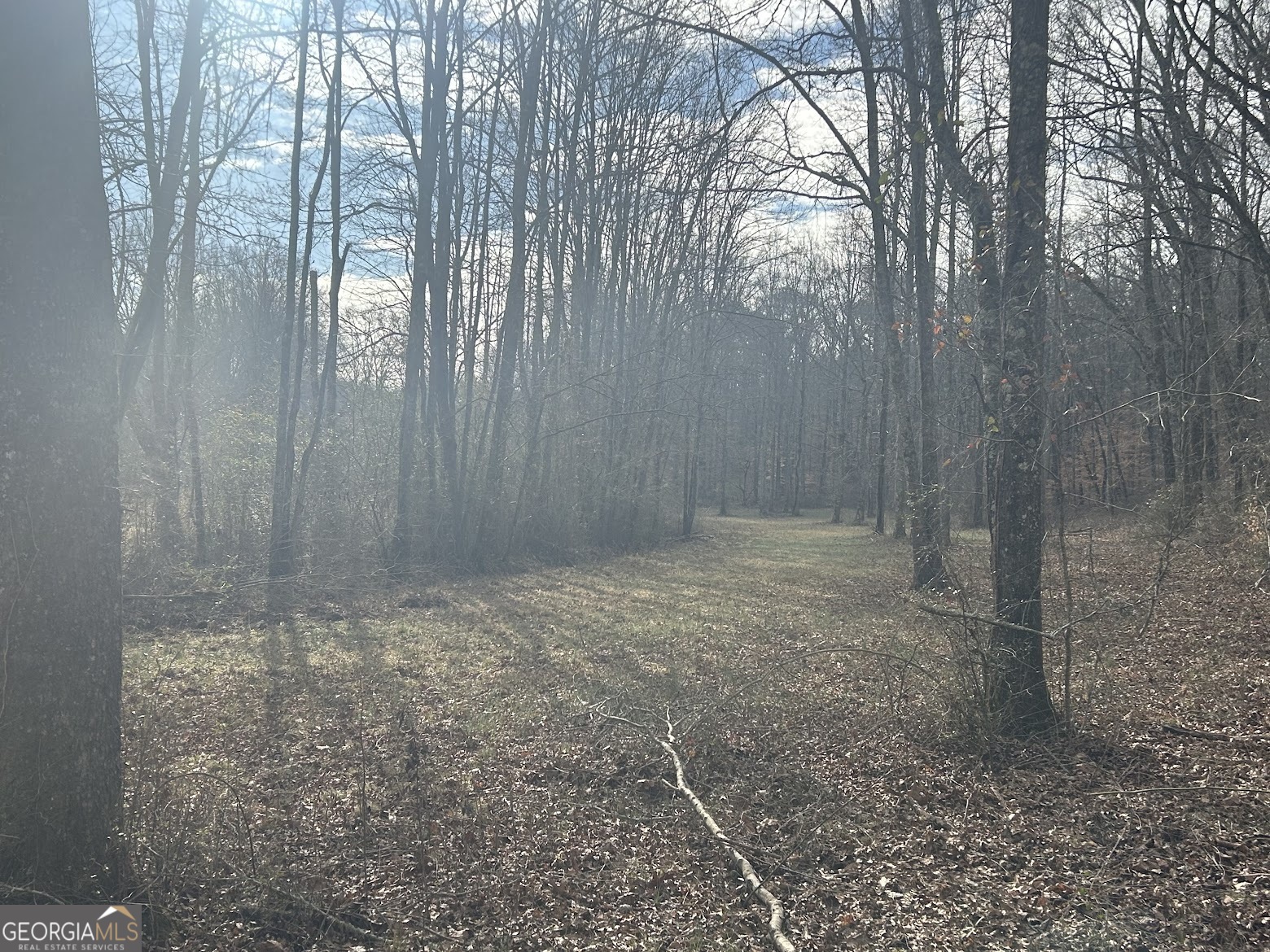 111 Riversong (tract 26) Carrollton, GA 30117 - Photo 54 of 72 a view of small yard